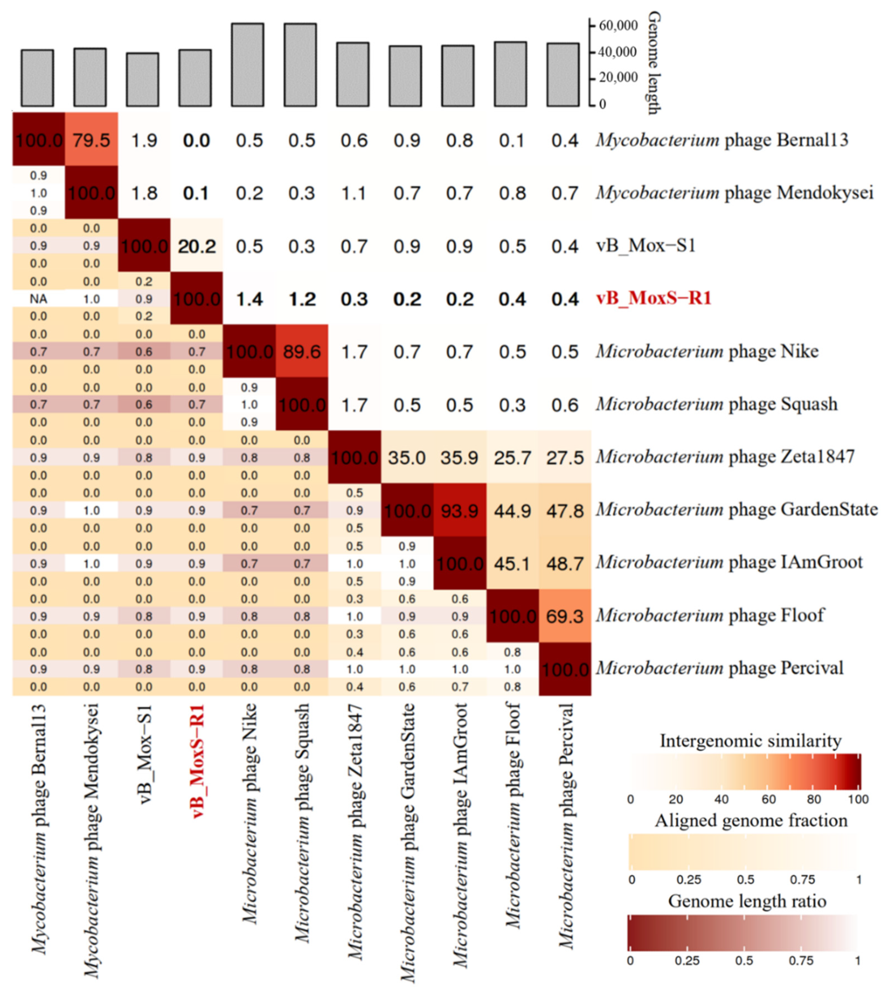 Viruses 14 00731 g005