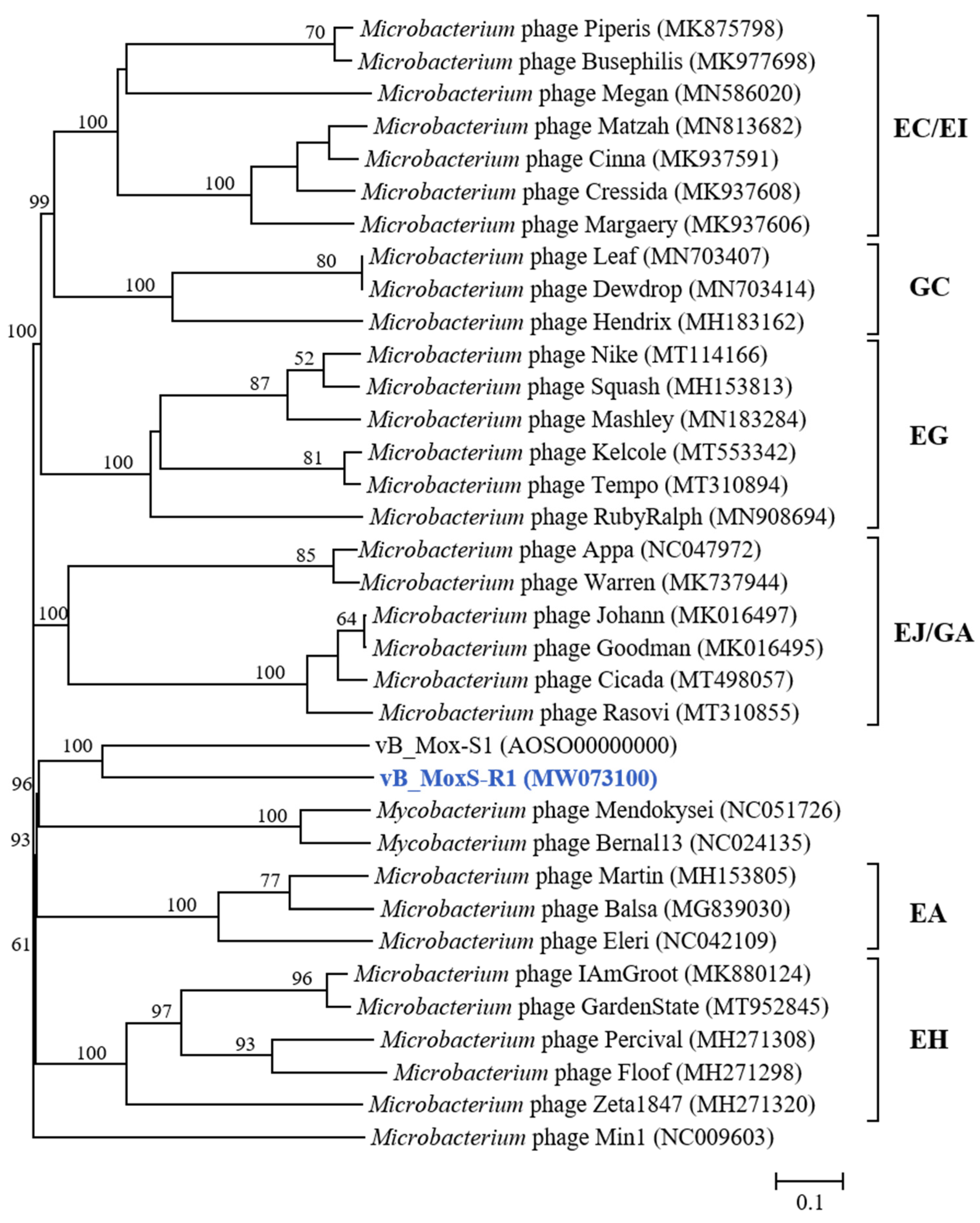 Viruses 14 00731 g006