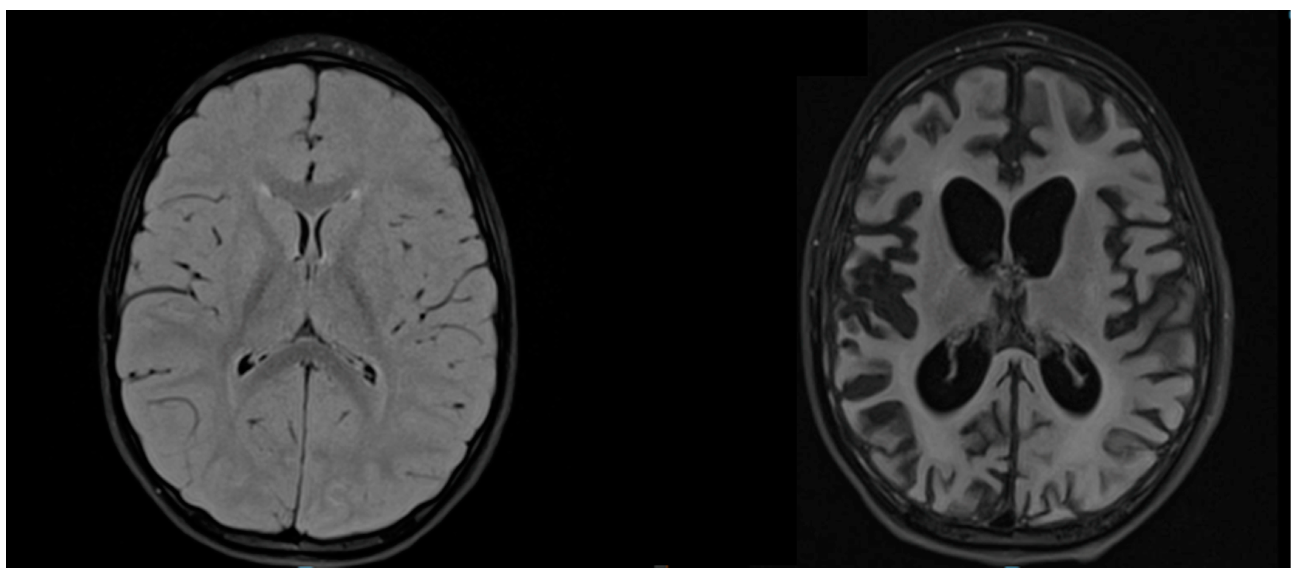 Viruses 14 00733 g003