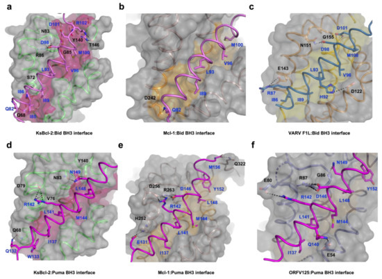 Viruses 14 00738 g002 550