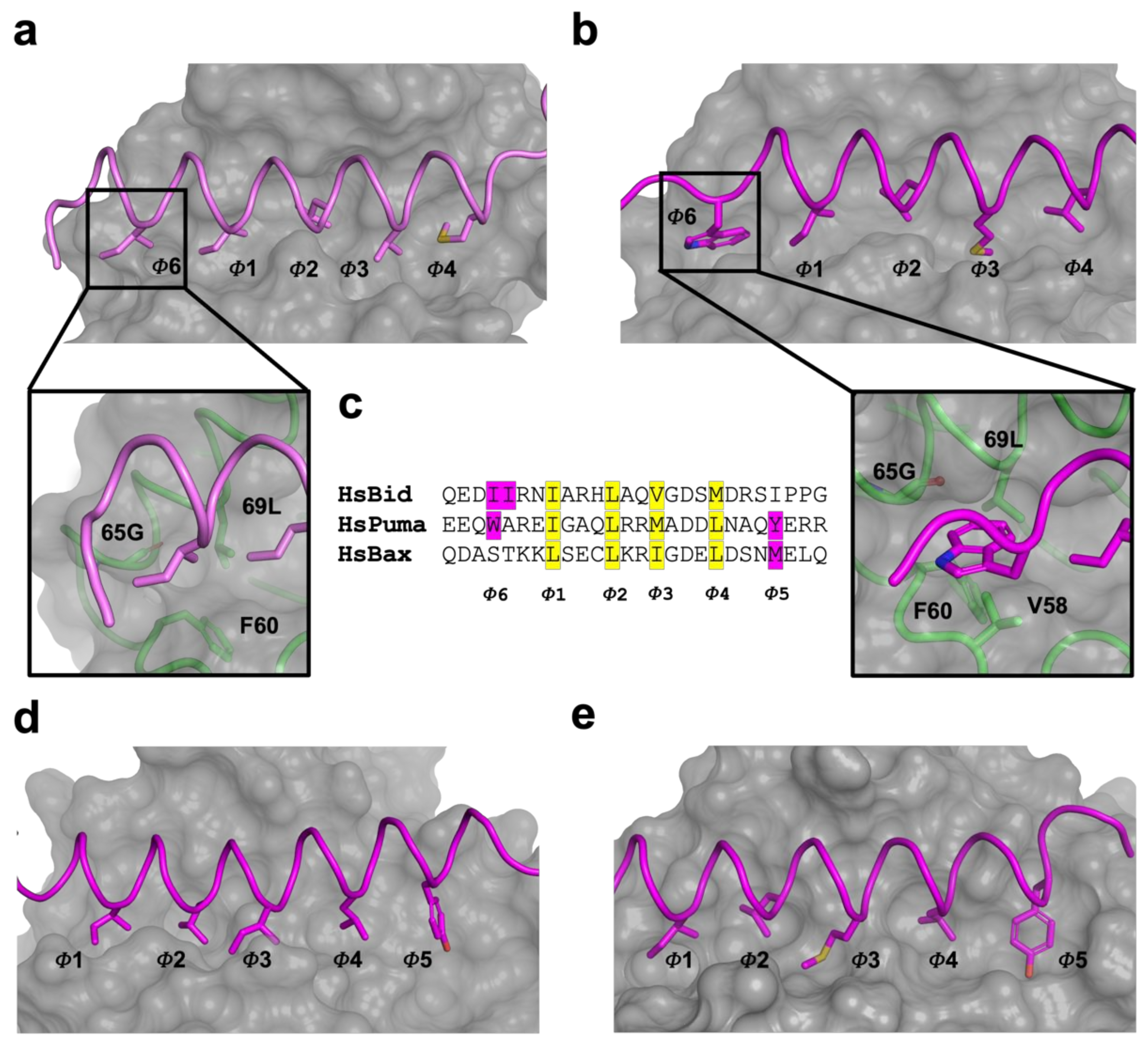 Viruses 14 00738 g004