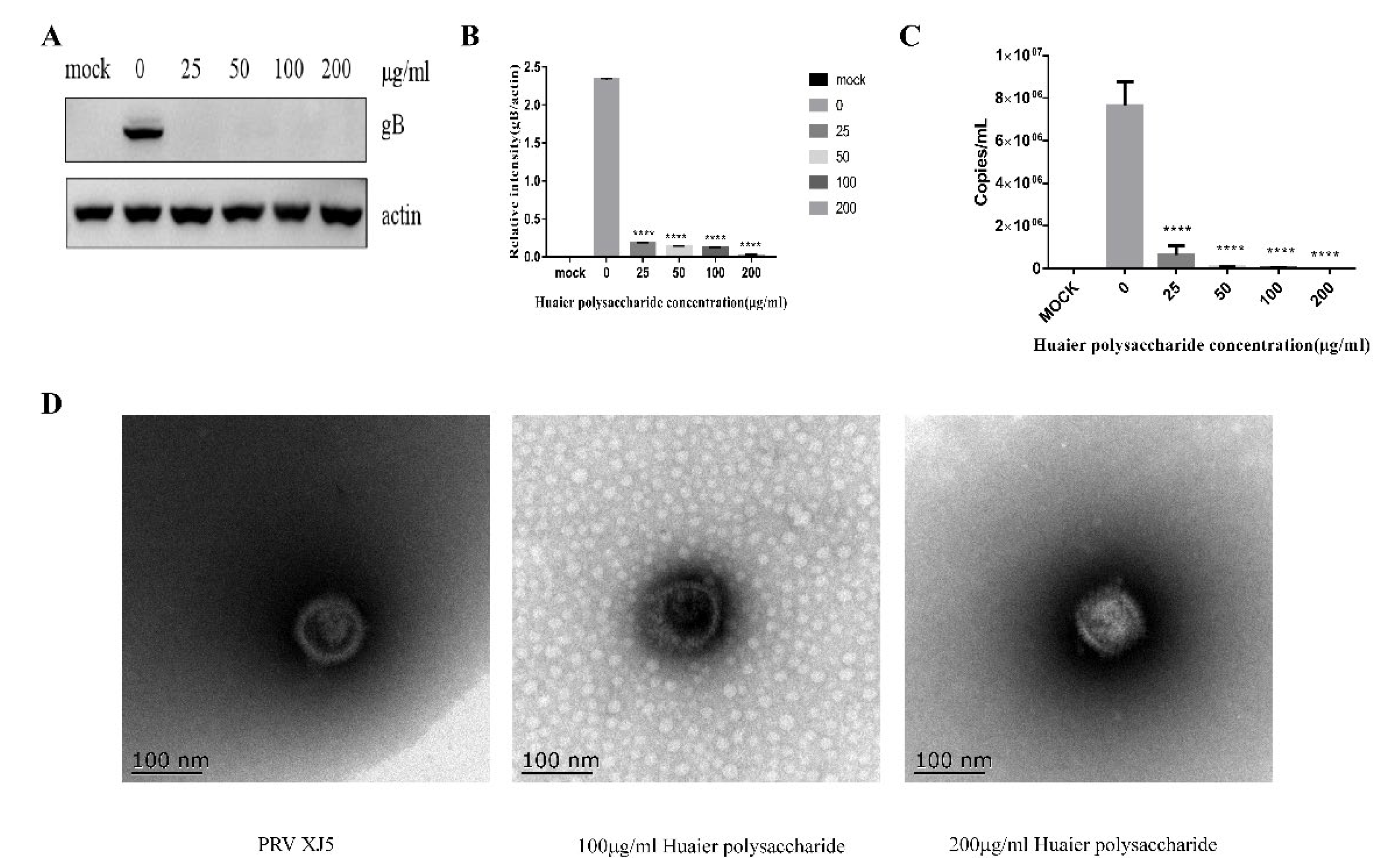 Viruses 14 00745 g007 Viruses 14 00745 g007