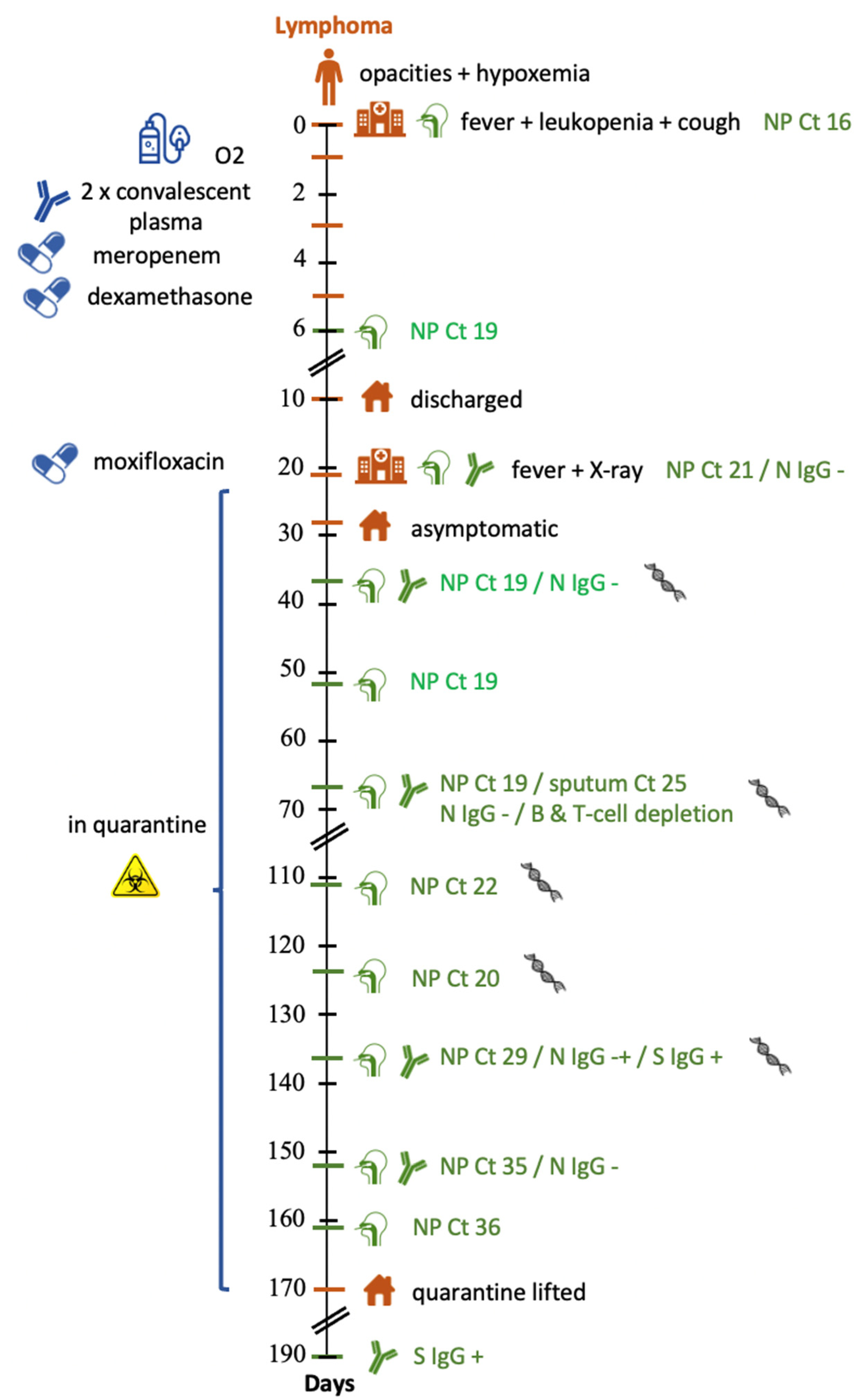 Viruses 14 00752 g001
