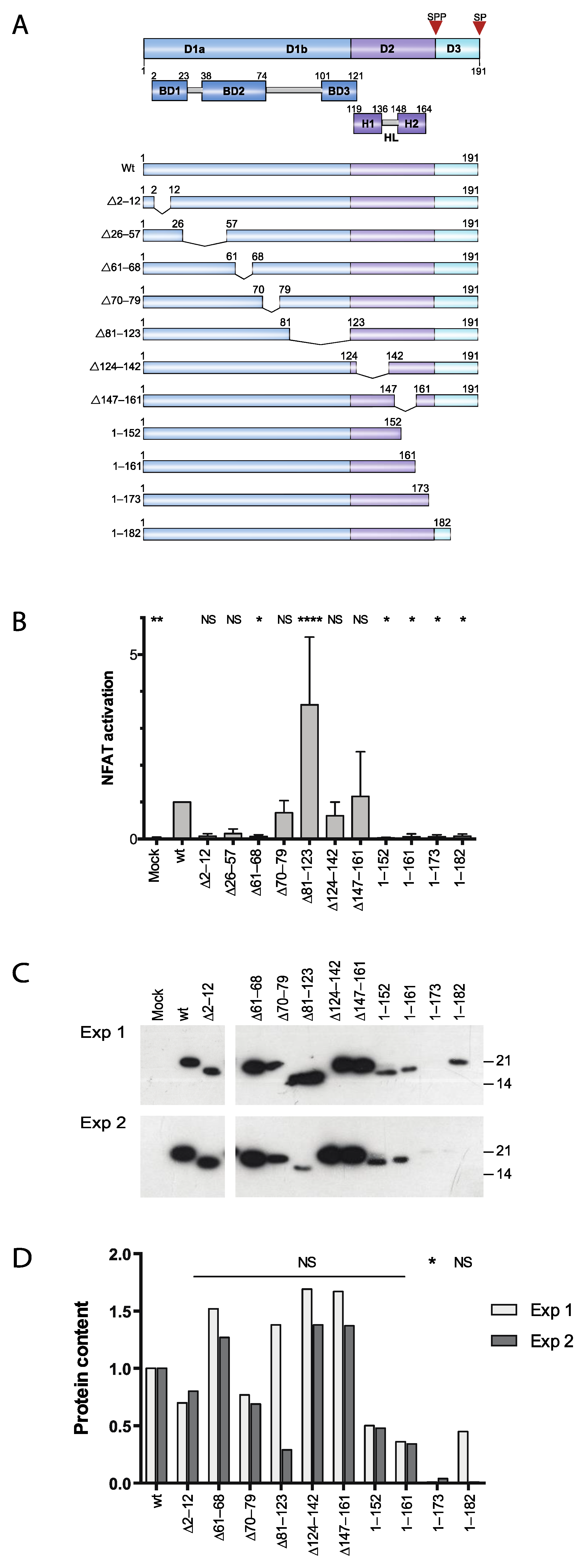 Viruses 14 00761 g001