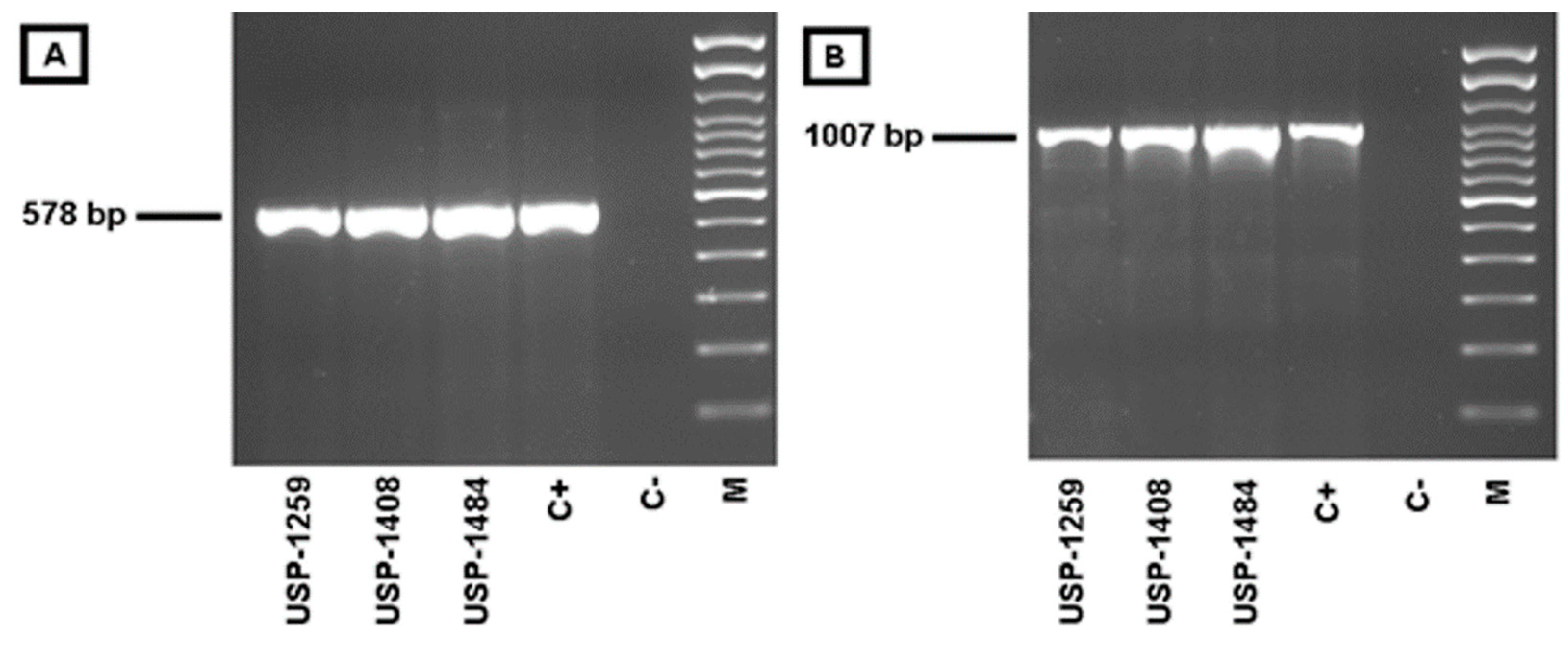 Viruses 14 00773 g008