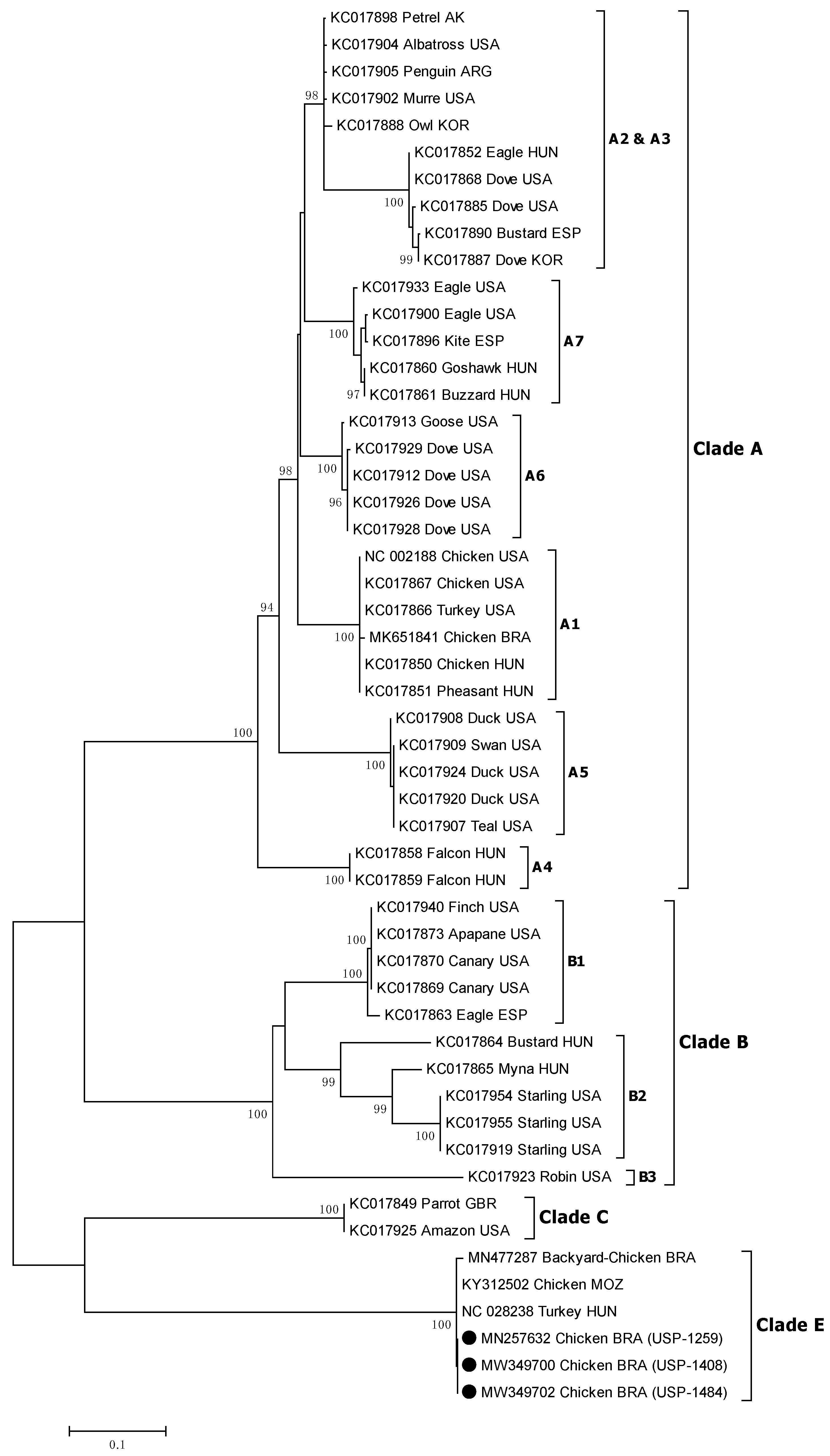 Viruses 14 00773 g010