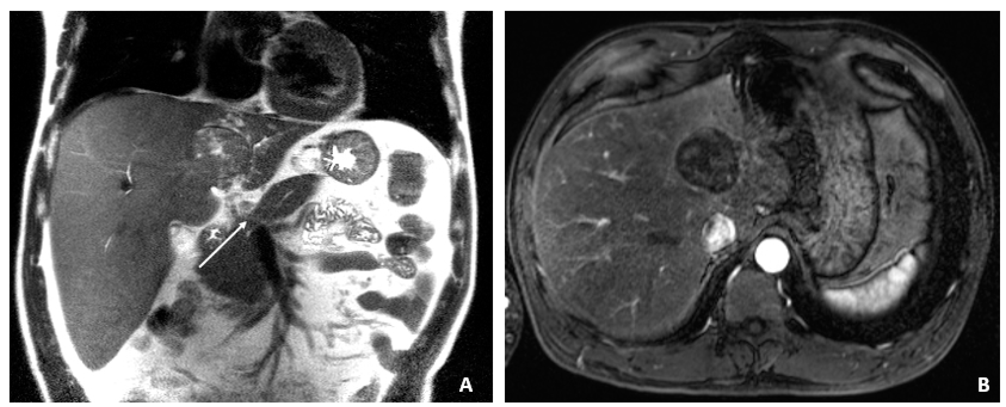 Viruses 14 00775 g001