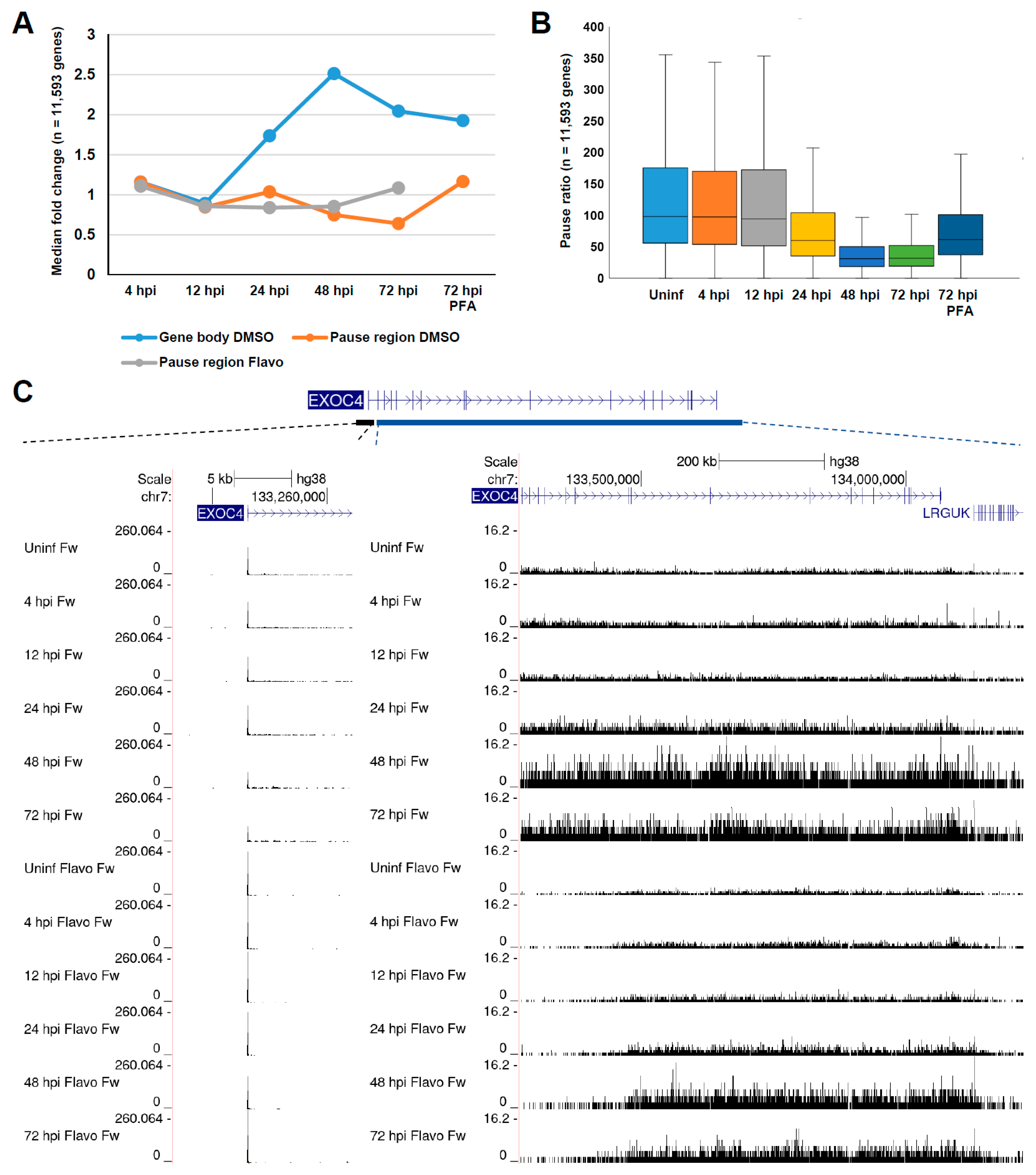 Viruses 14 00779 g002