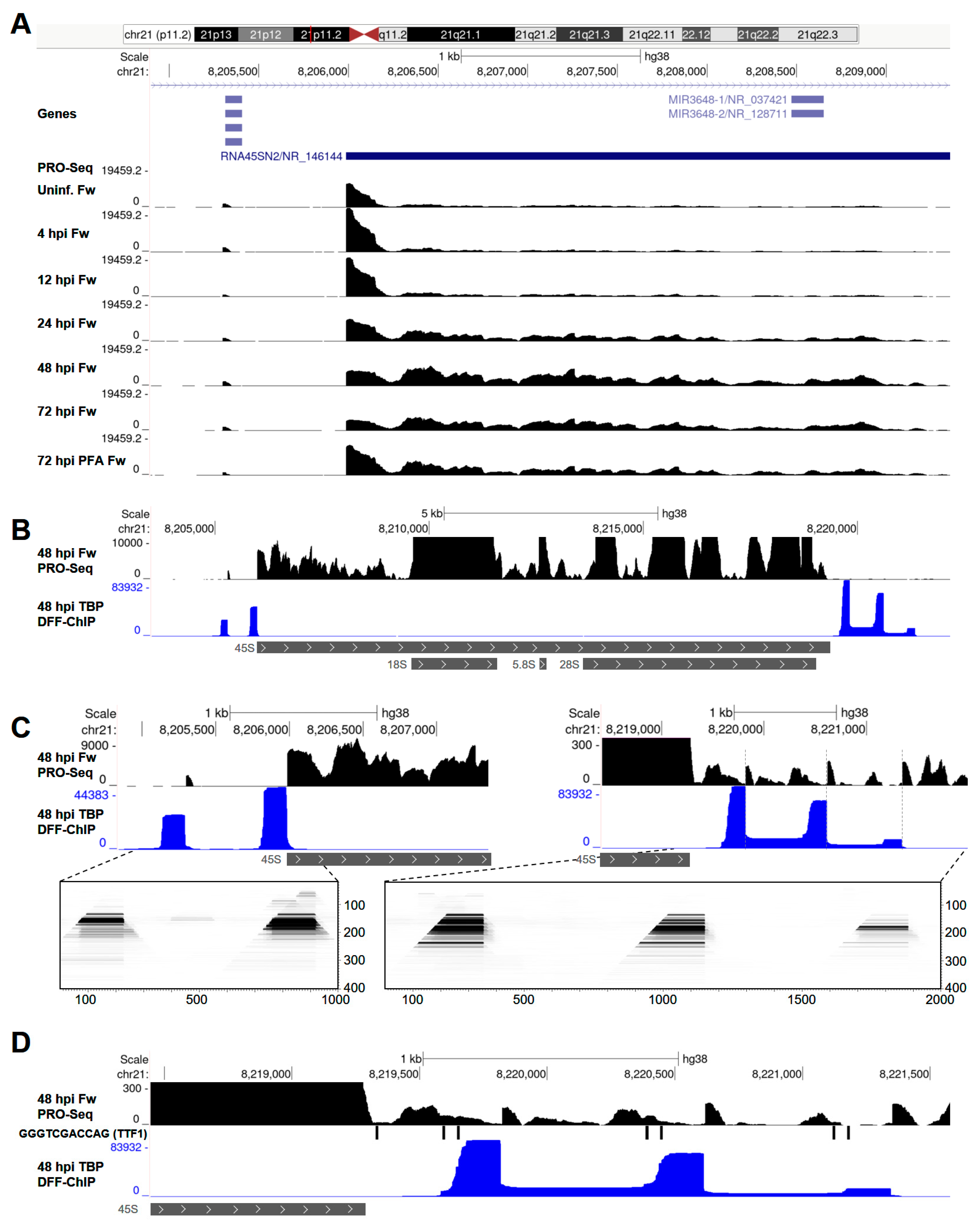 Viruses 14 00779 g004