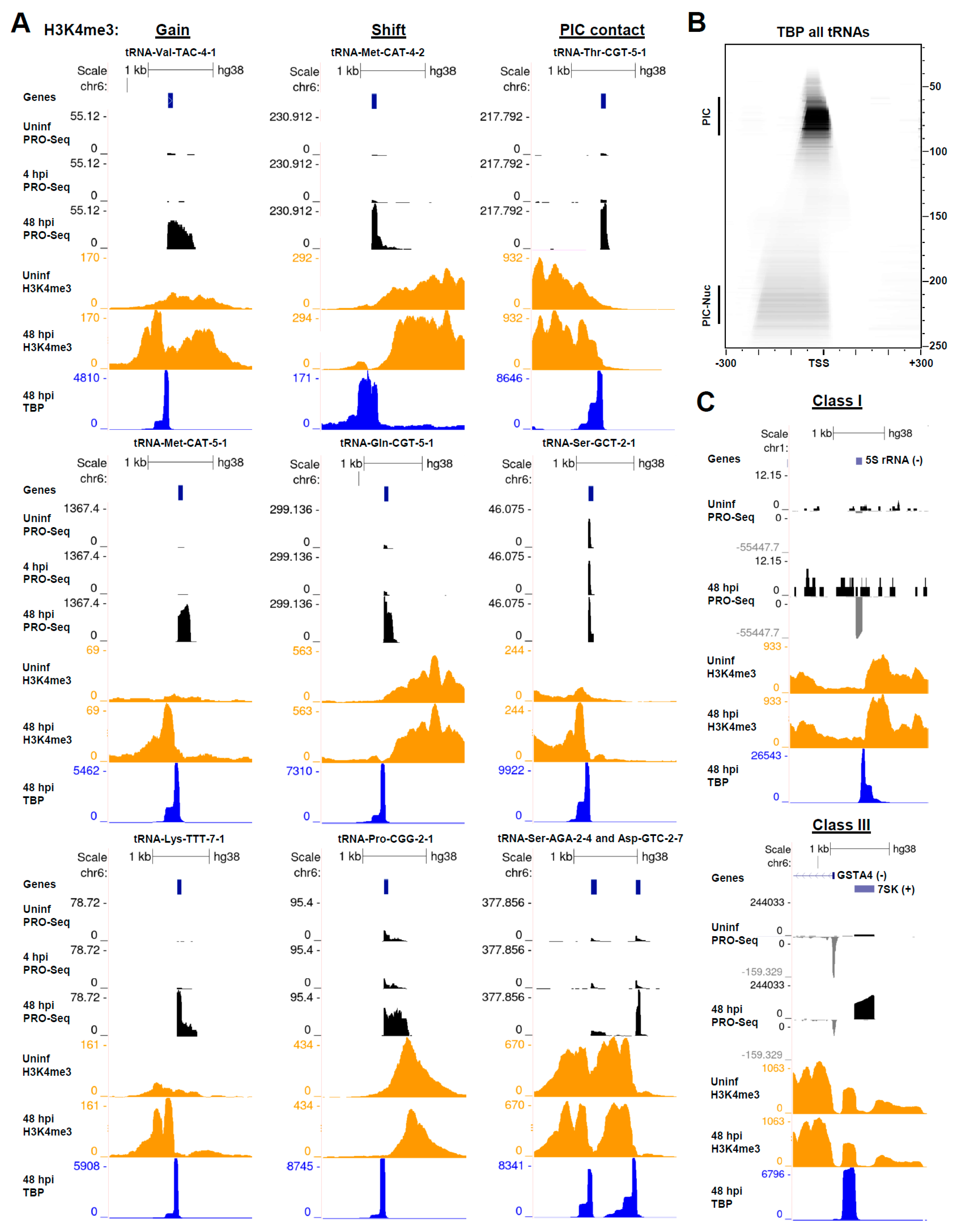 Viruses 14 00779 g006