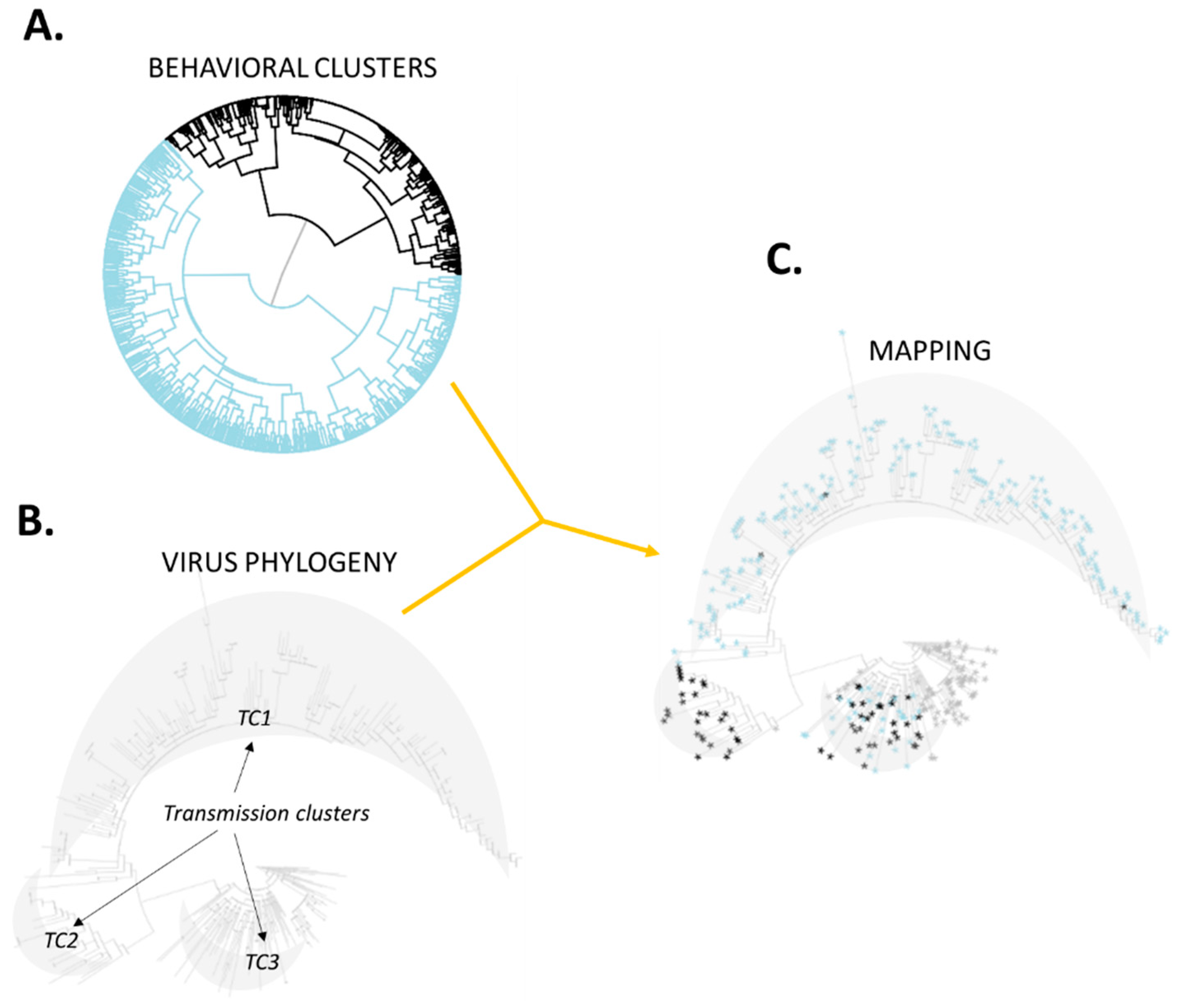 Viruses 14 00784 g001