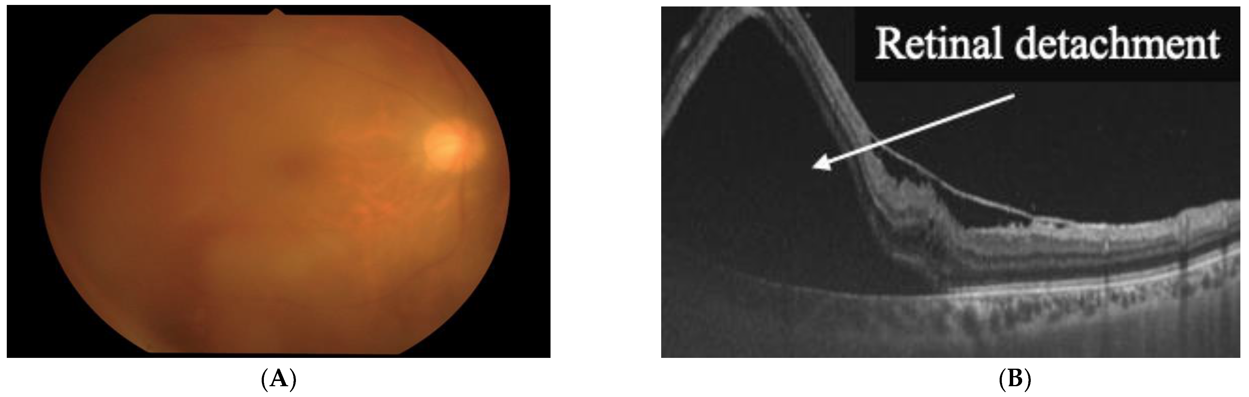 Viruses 14 00794 g001