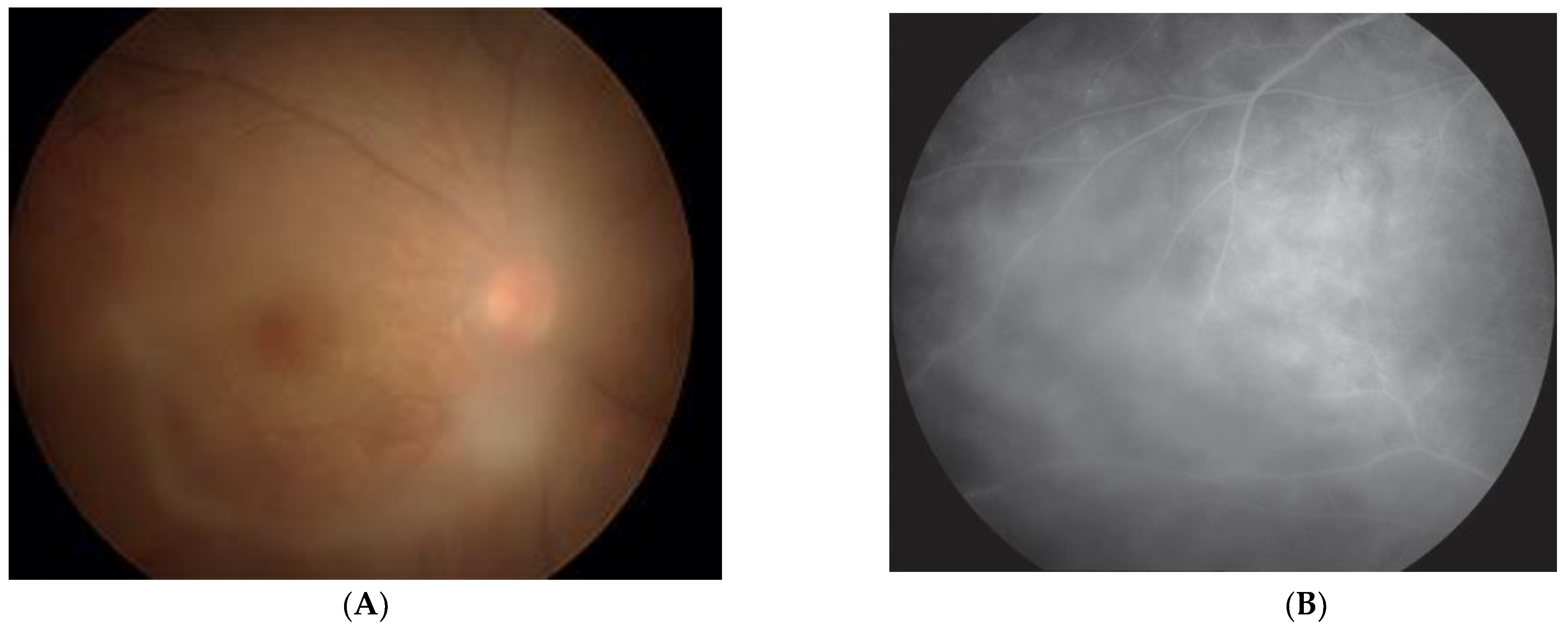 Viruses 14 00794 g002