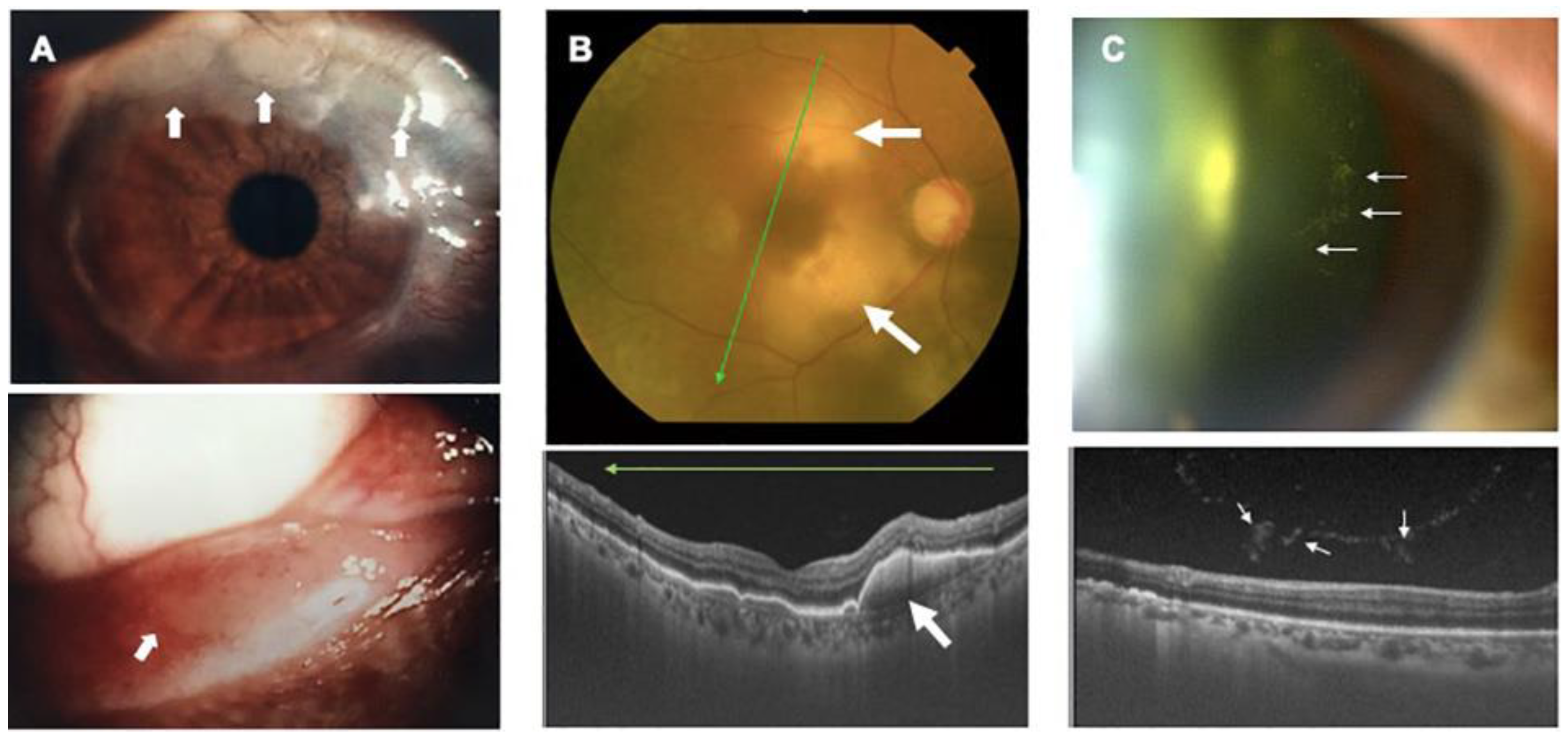 Viruses 14 00794 g003