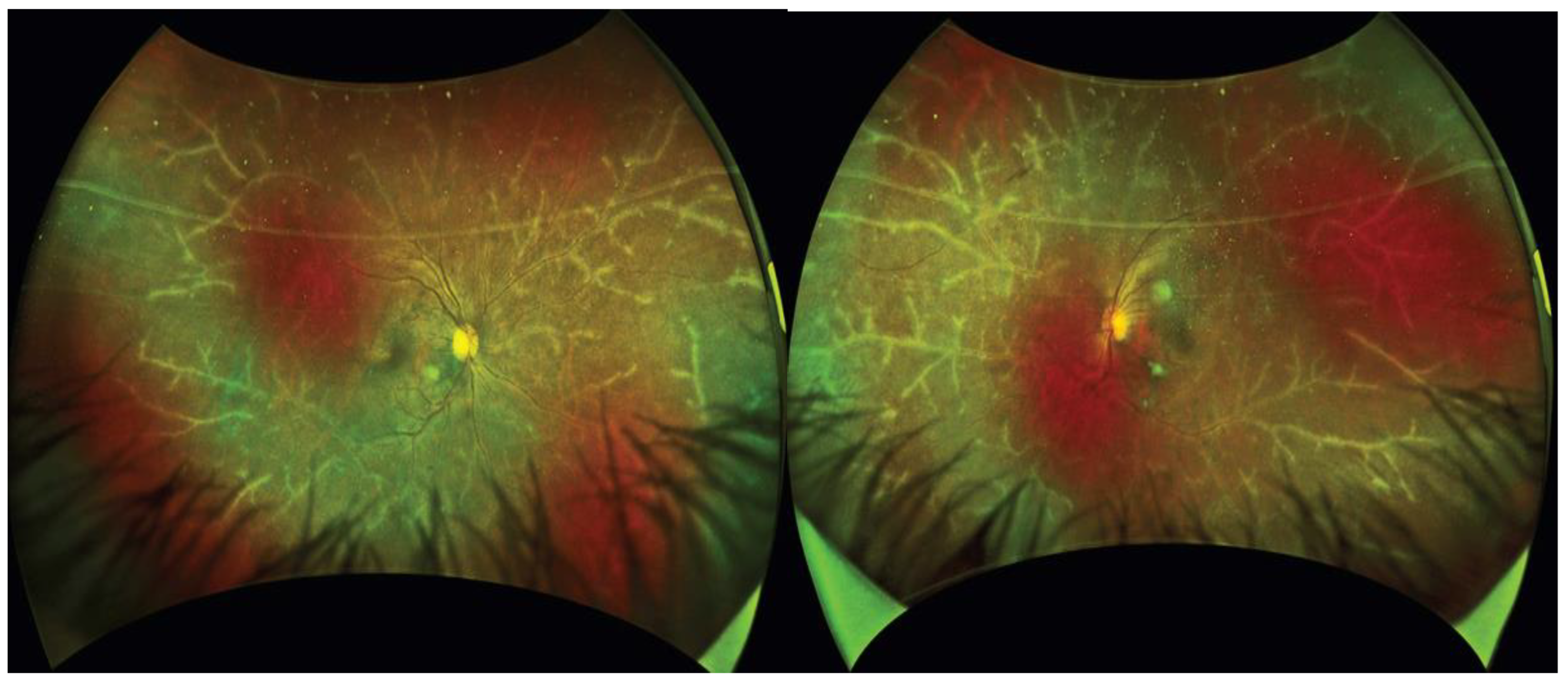 Viruses 14 00794 g004