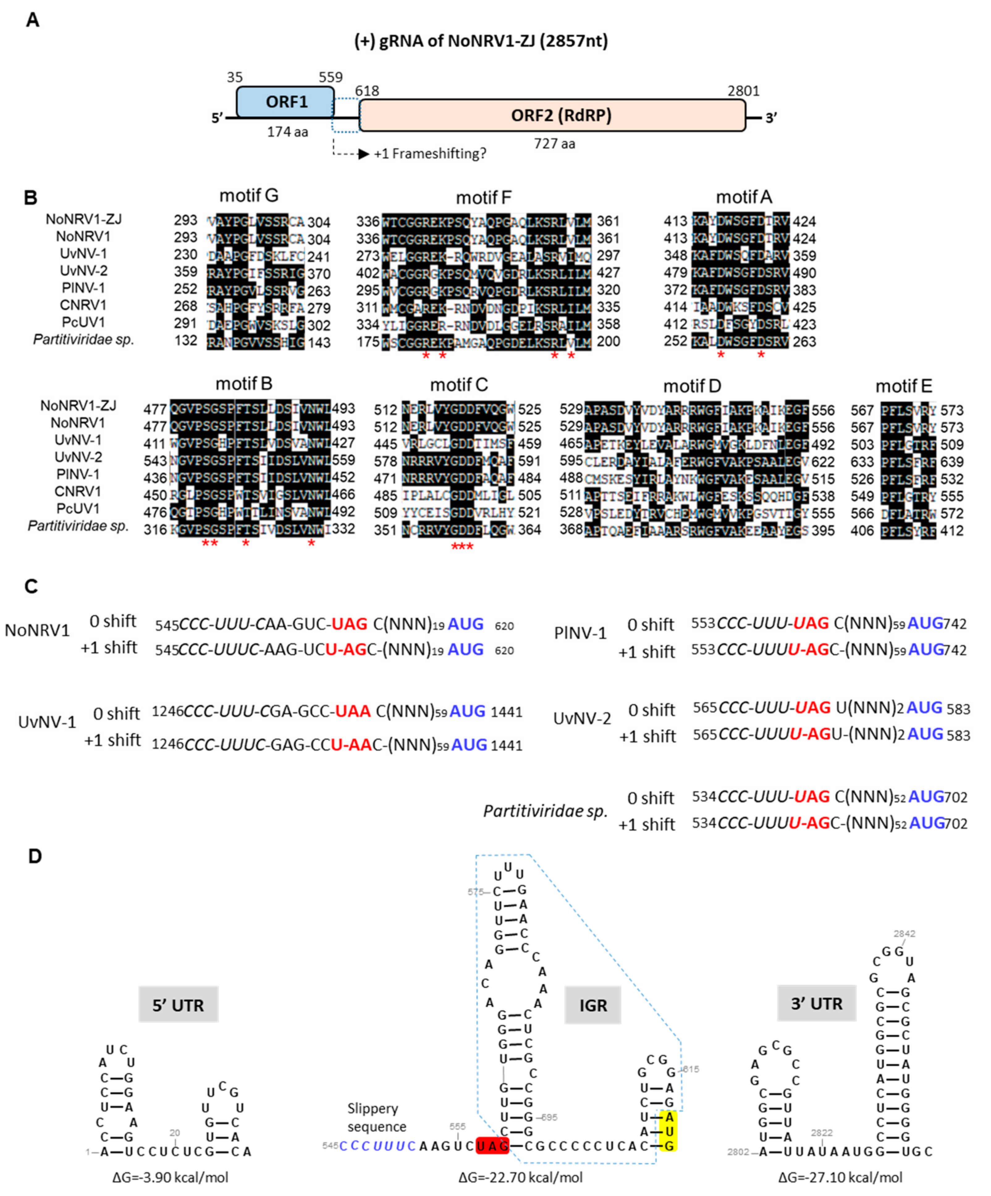 Viruses 14 00795 g002