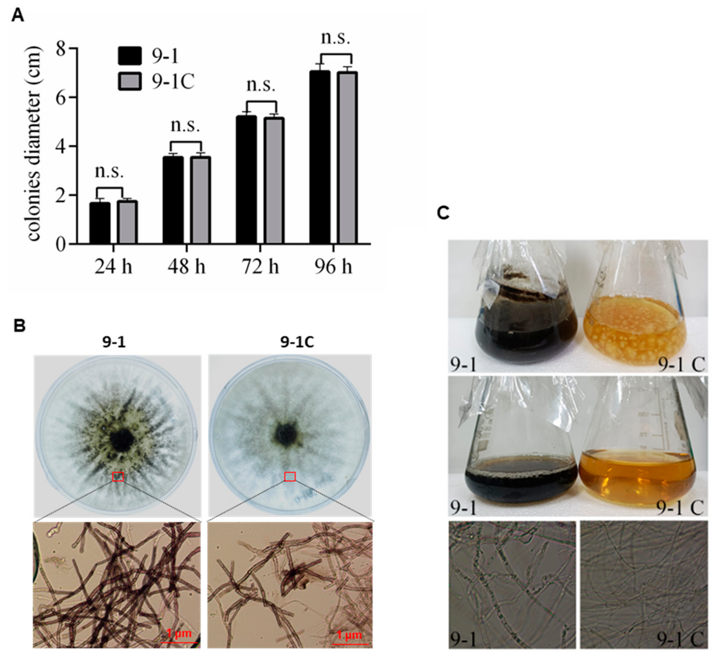 Viruses 14 00795 g005