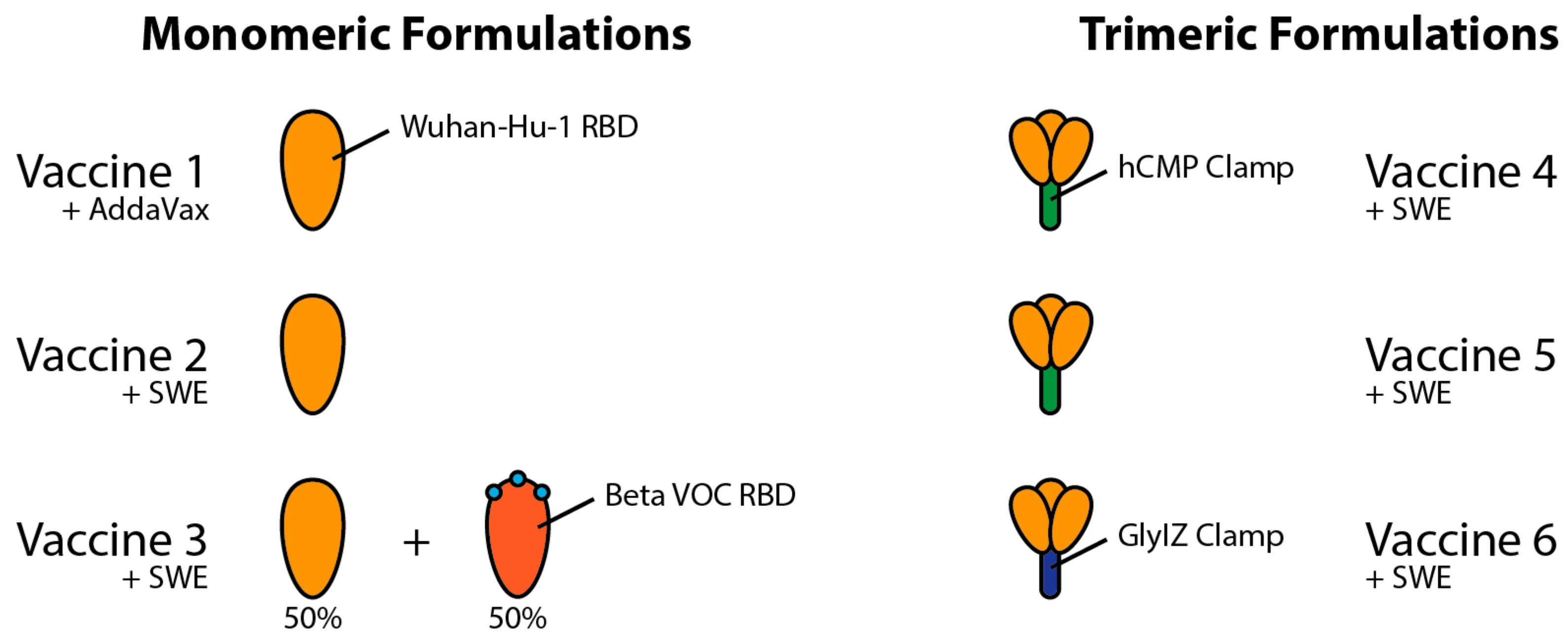 Viruses 14 00800 g002