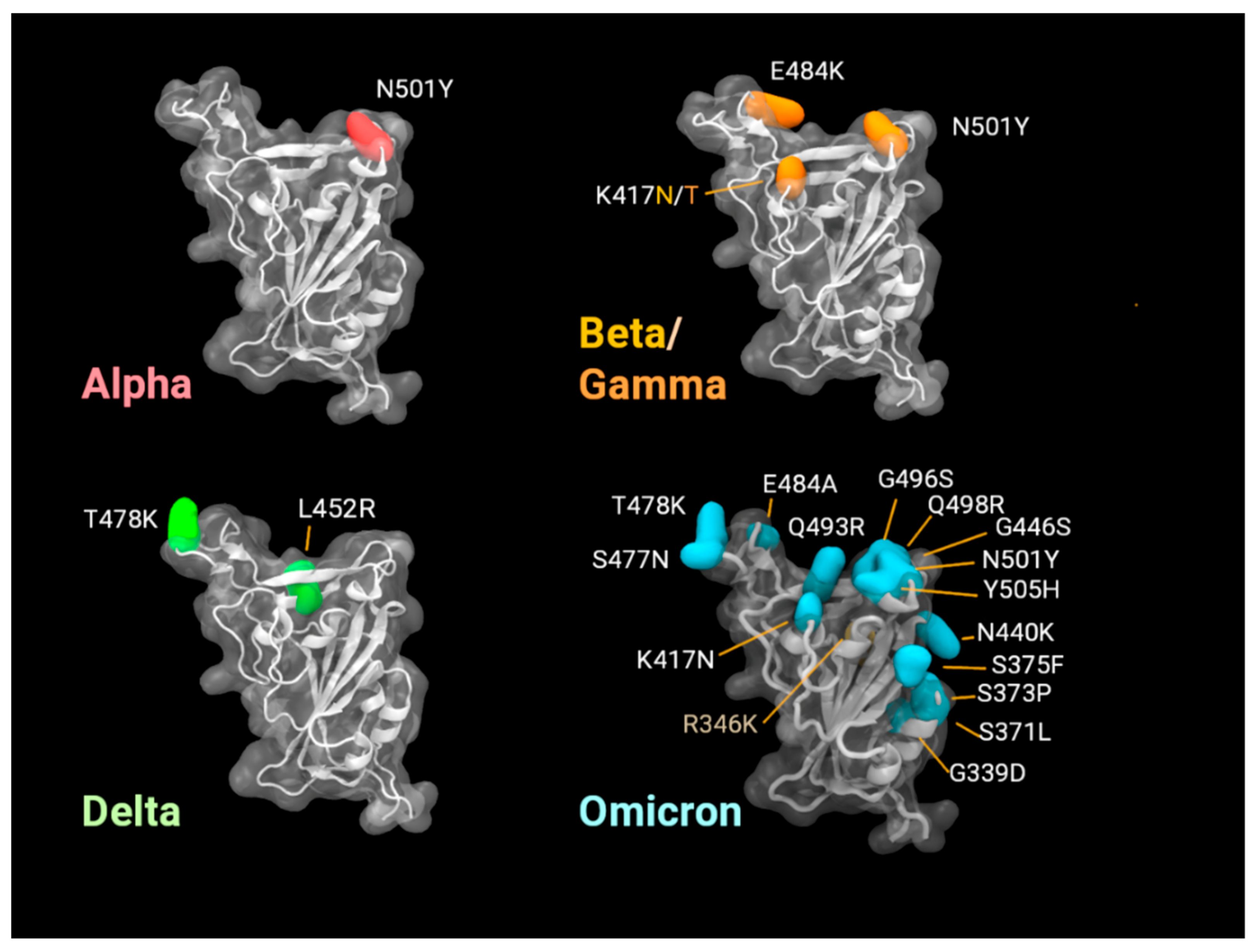 Viruses 14 00800 g004