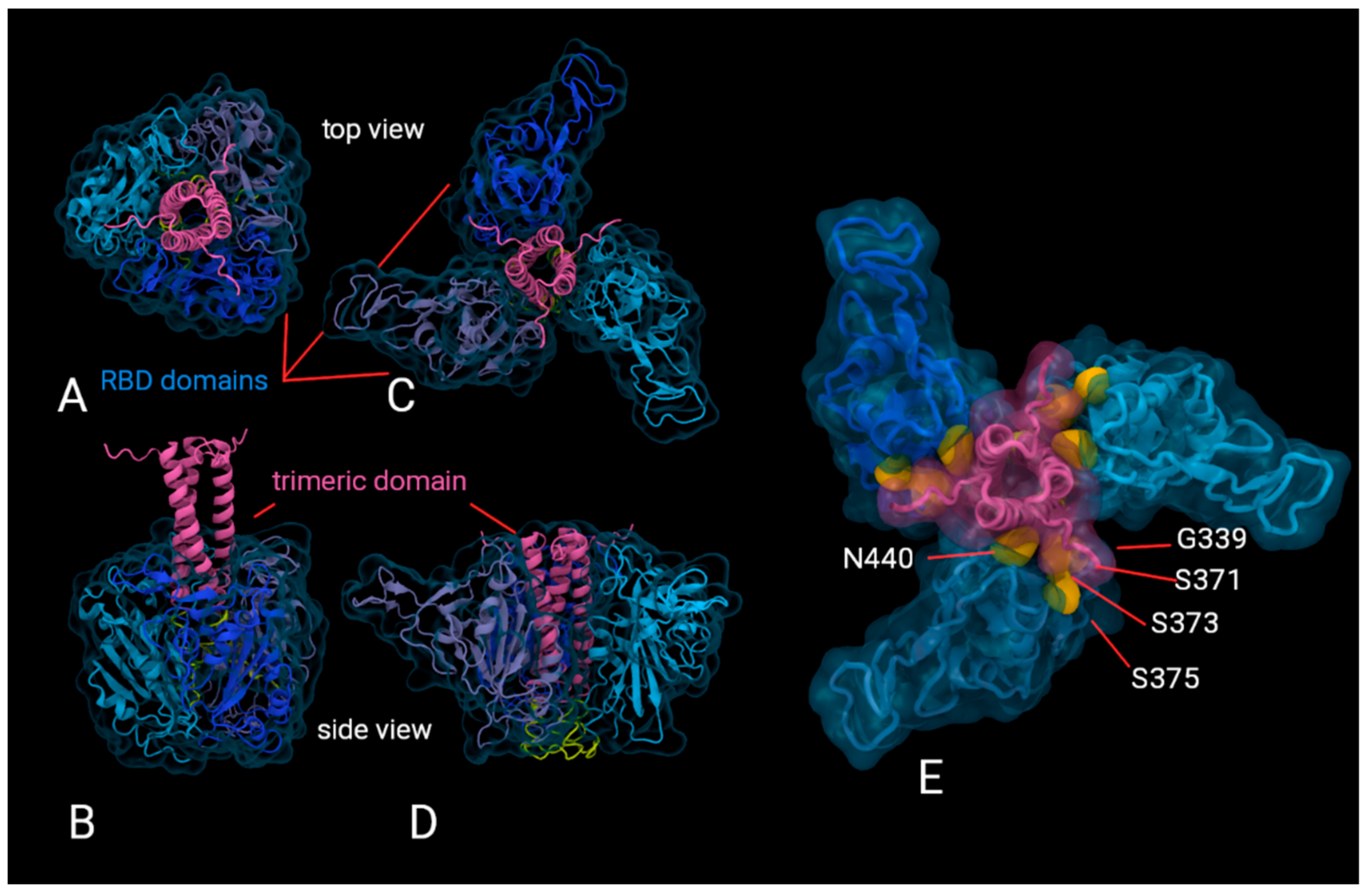 Viruses 14 00800 g005