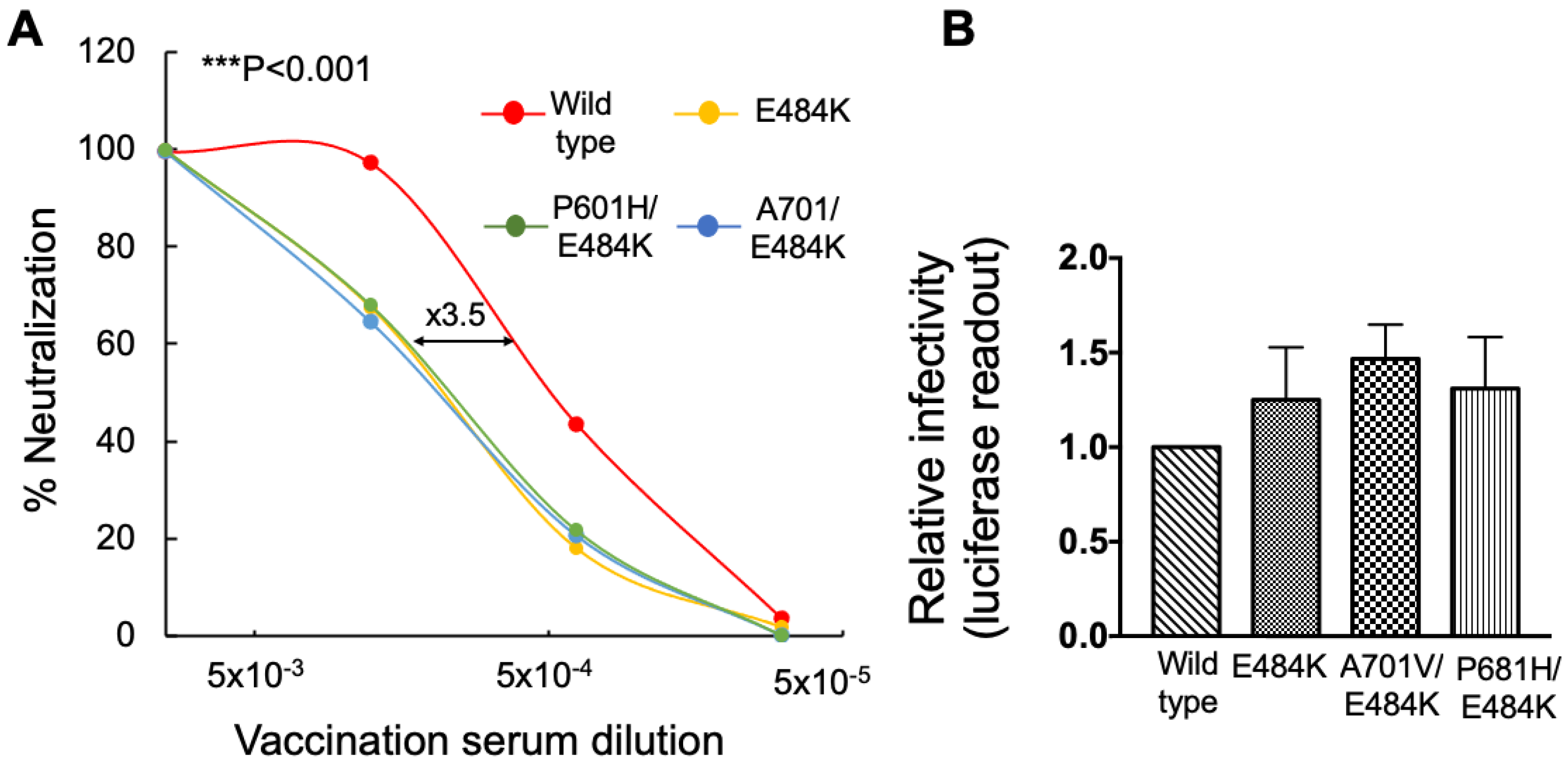 Viruses 14 00803 g003 Viruses 14 00803 g003
