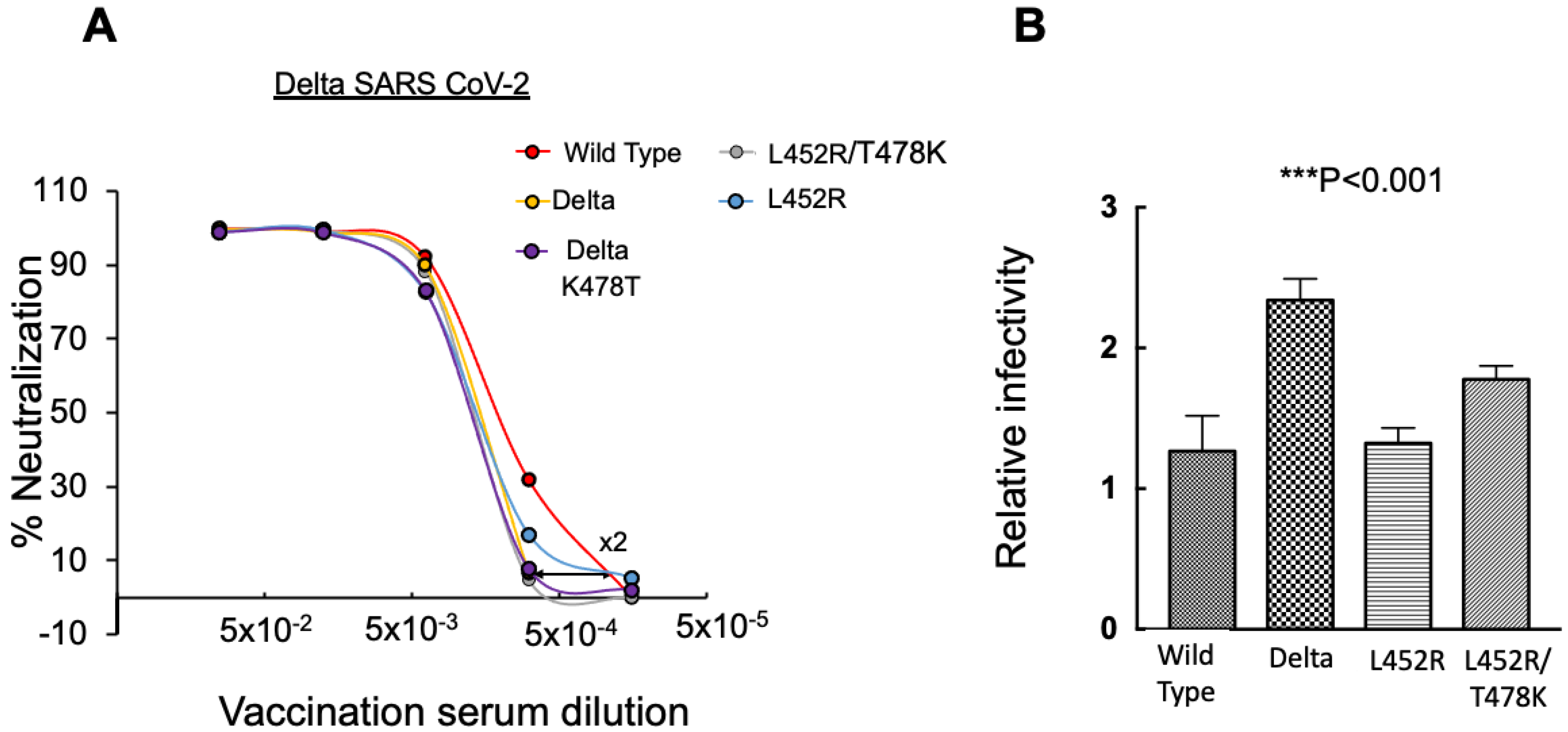 Viruses 14 00803 g004 Viruses 14 00803 g004