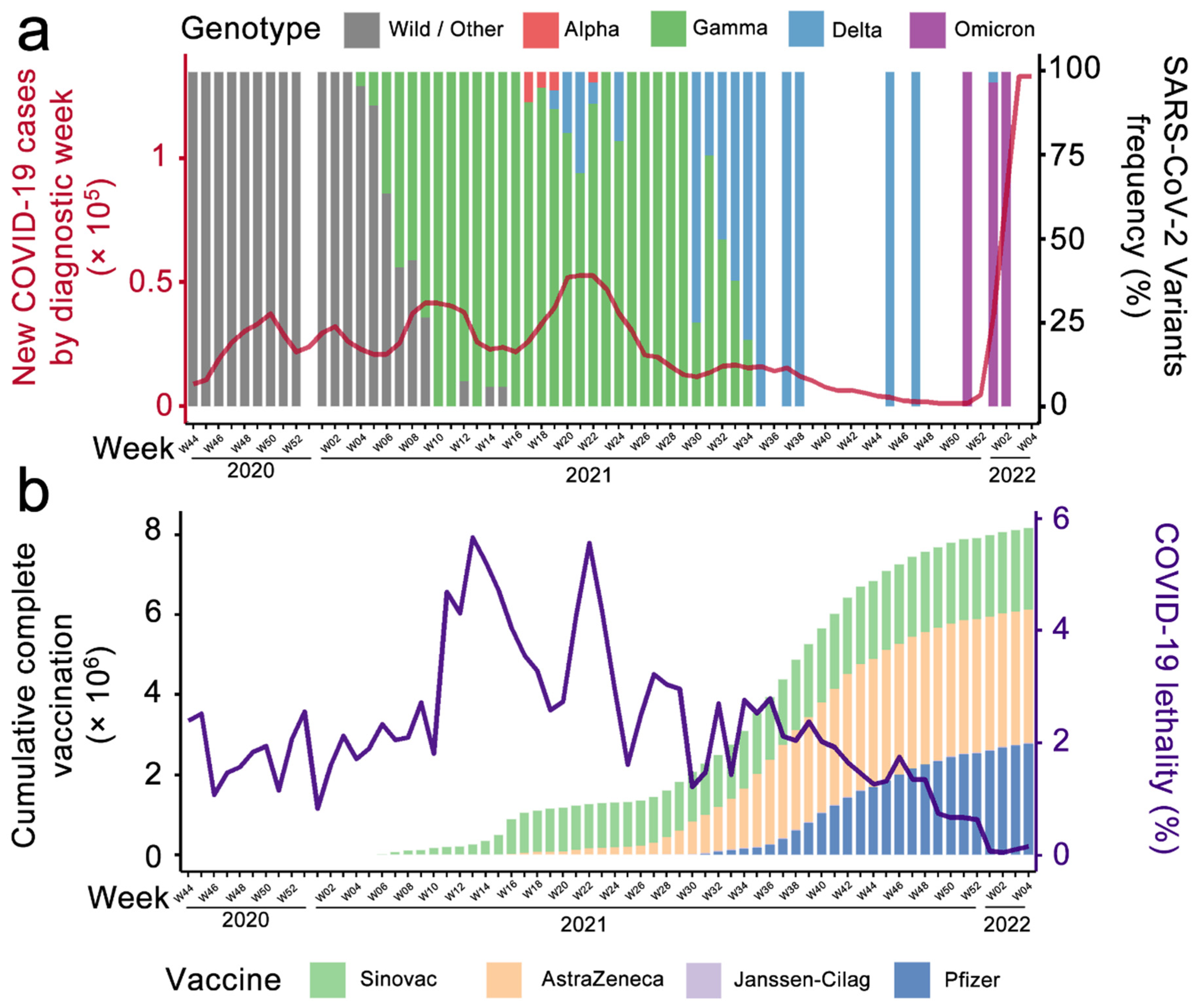 Viruses 14 00809 g001