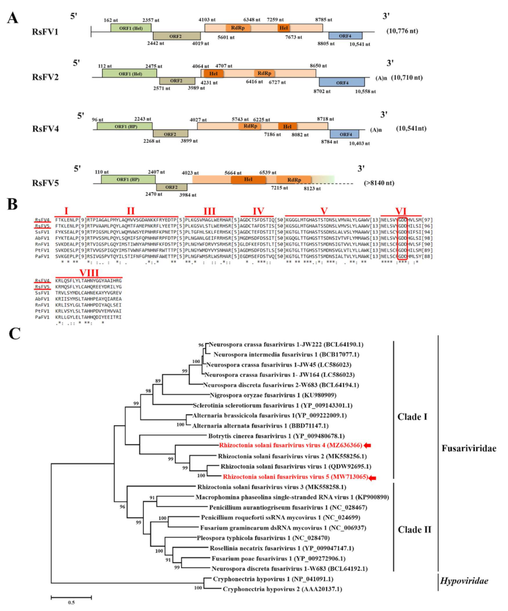 Viruses 14 00813 g002