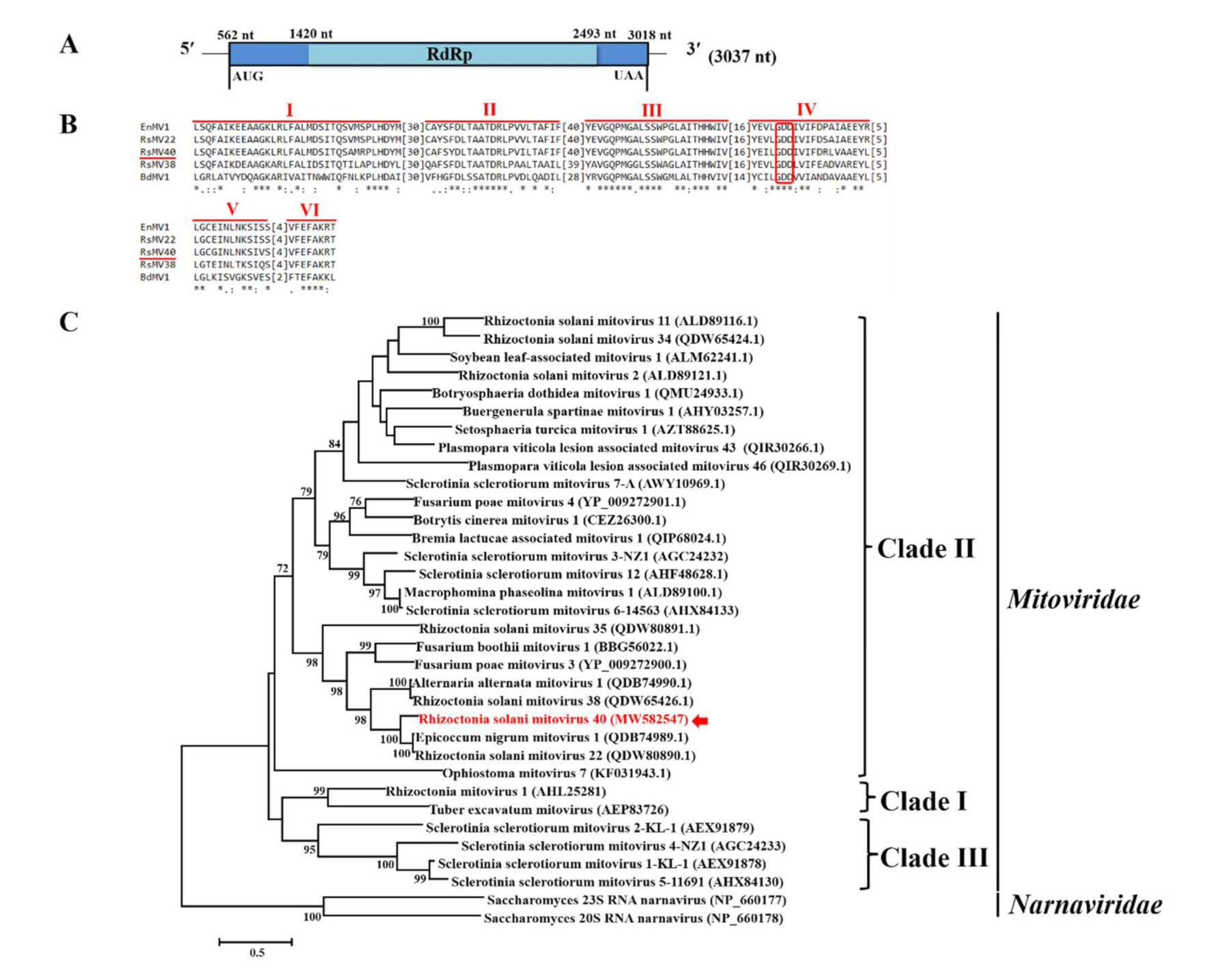 Viruses 14 00813 g003