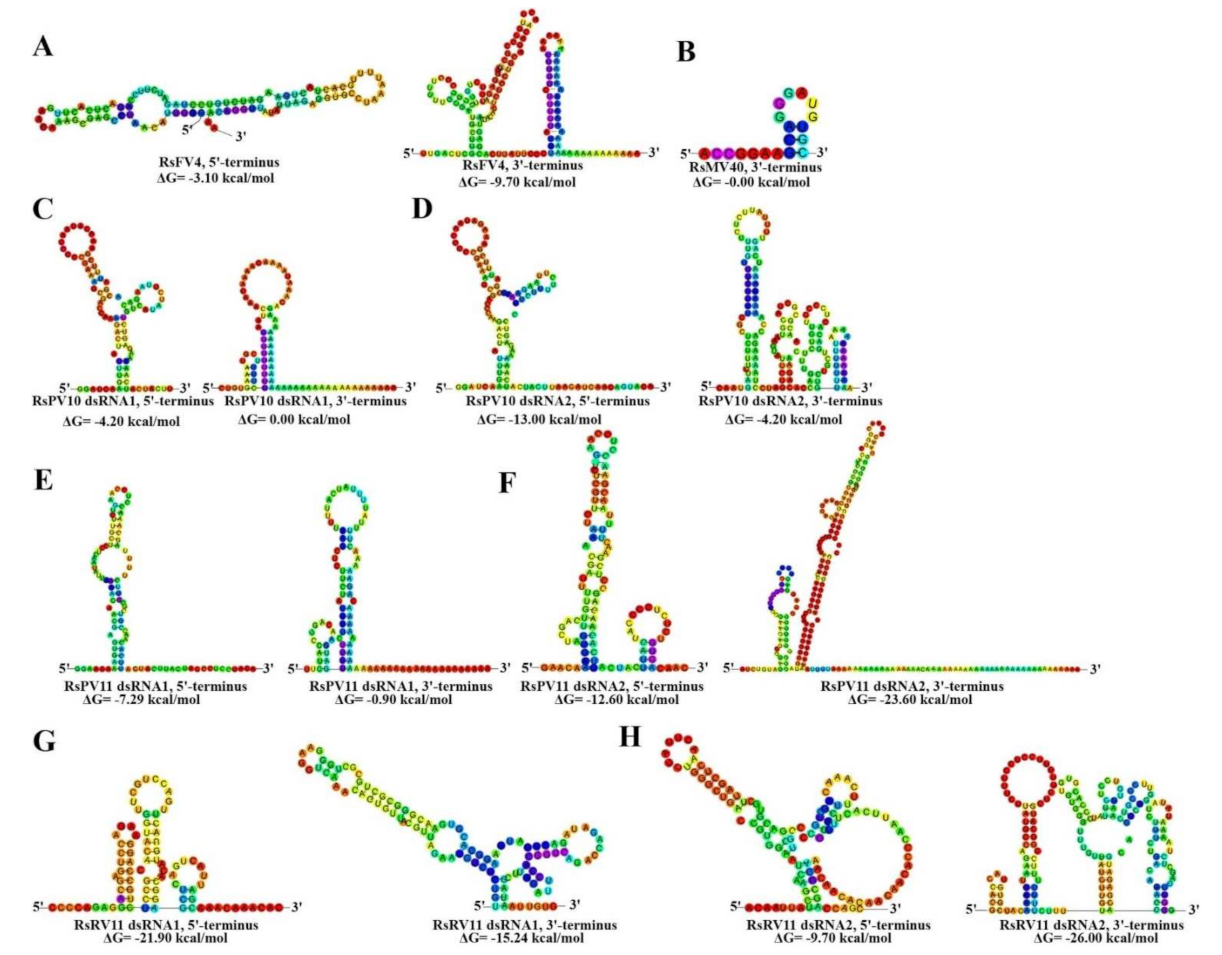 Viruses 14 00813 g005