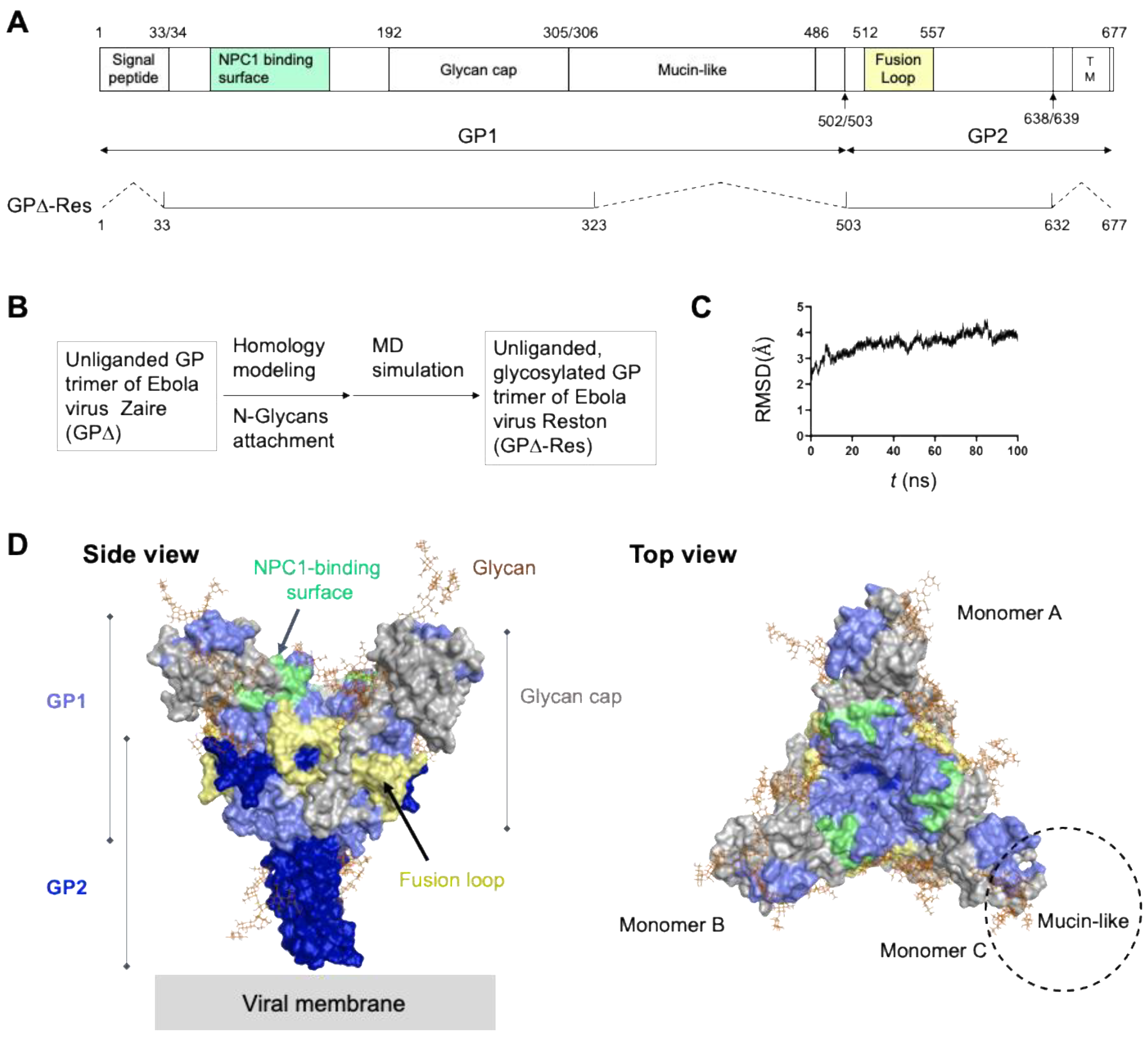 Viruses 14 00816 g006