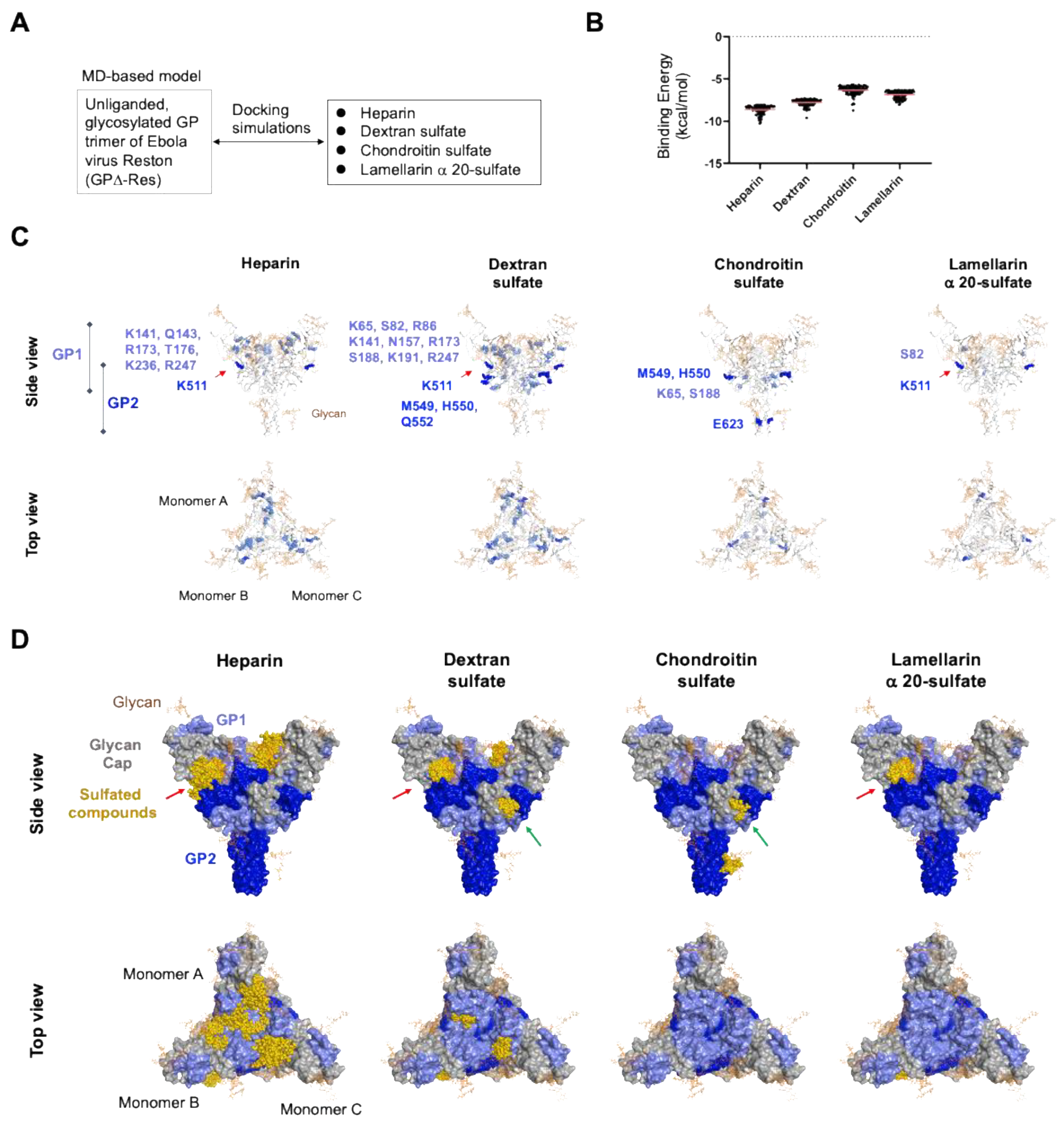 Viruses 14 00816 g008