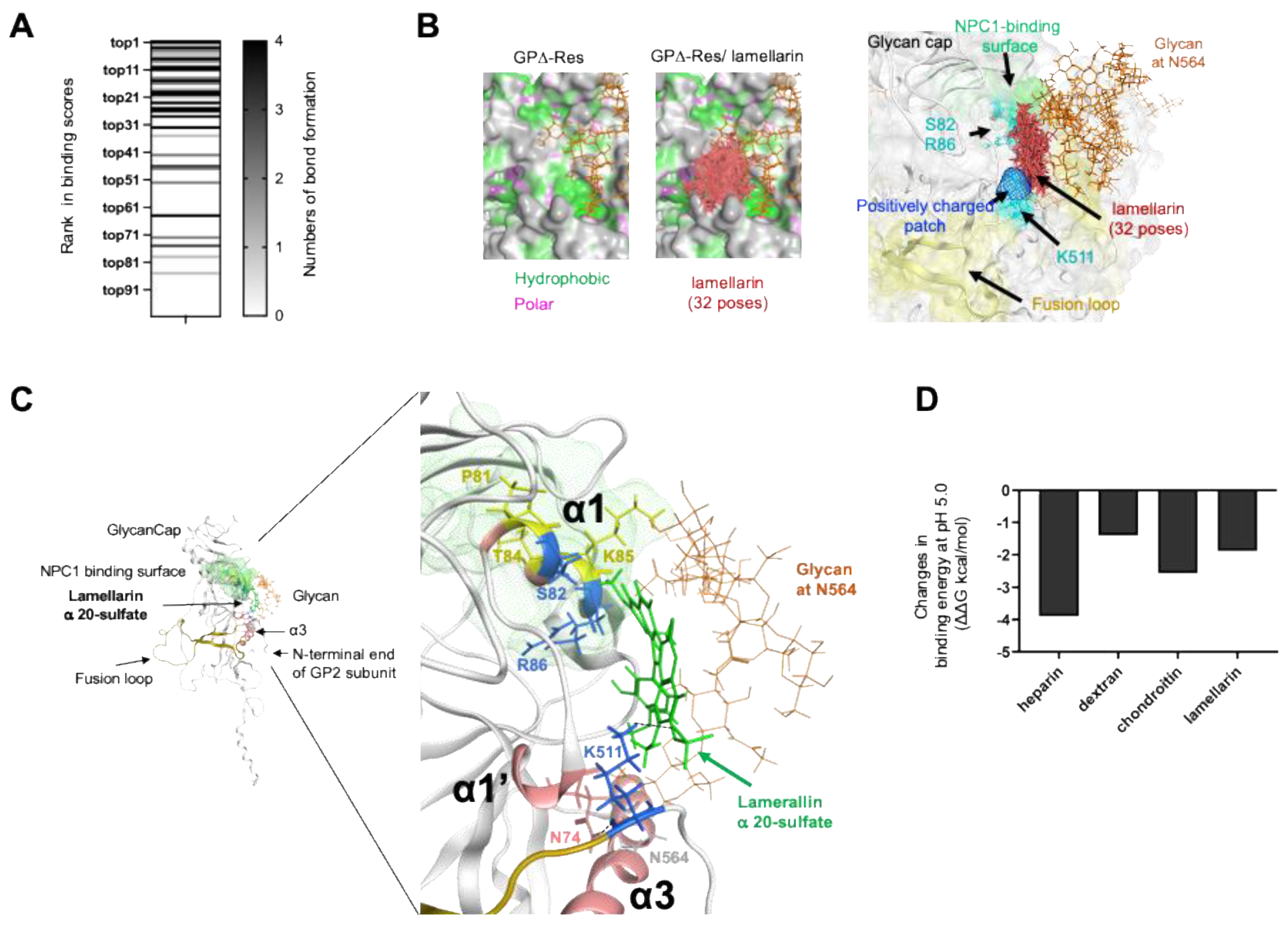 Viruses 14 00816 g009