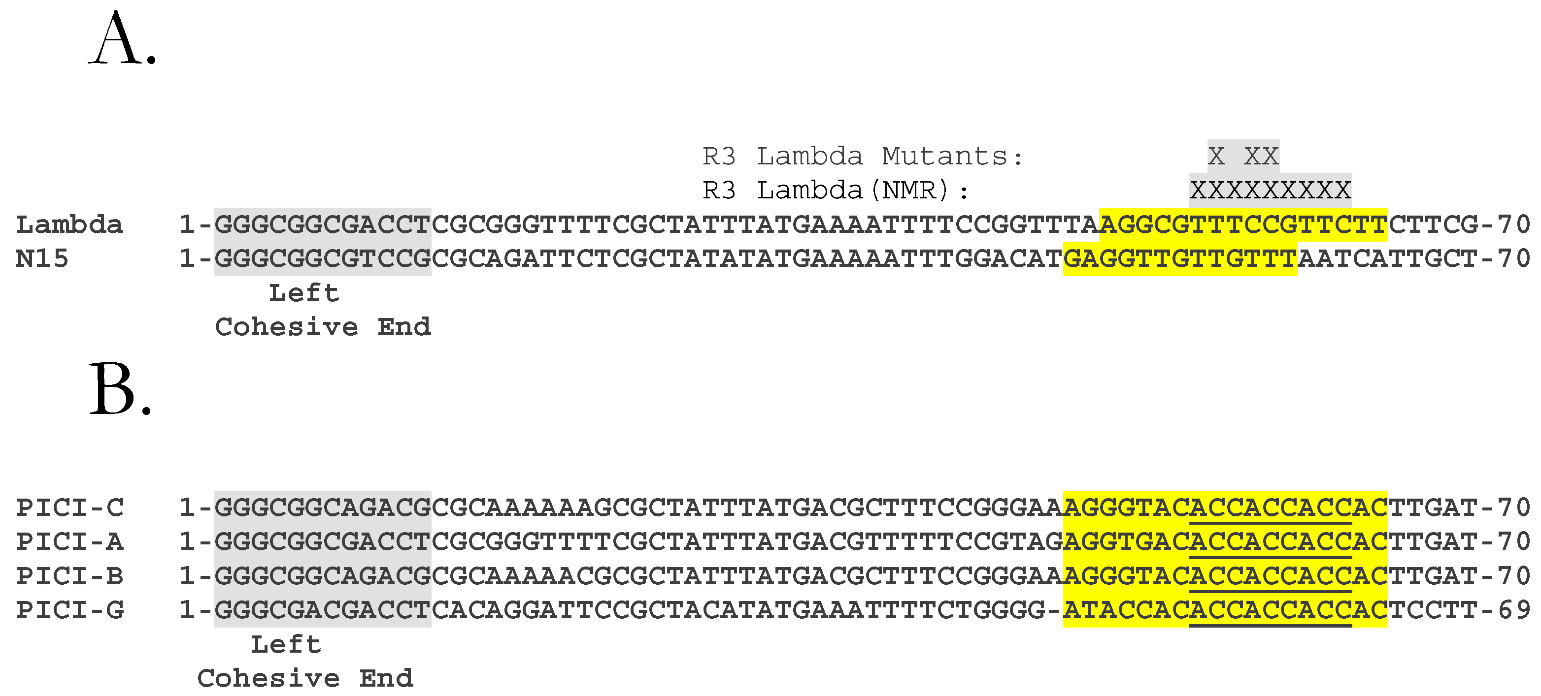 Viruses 14 00818 g002
