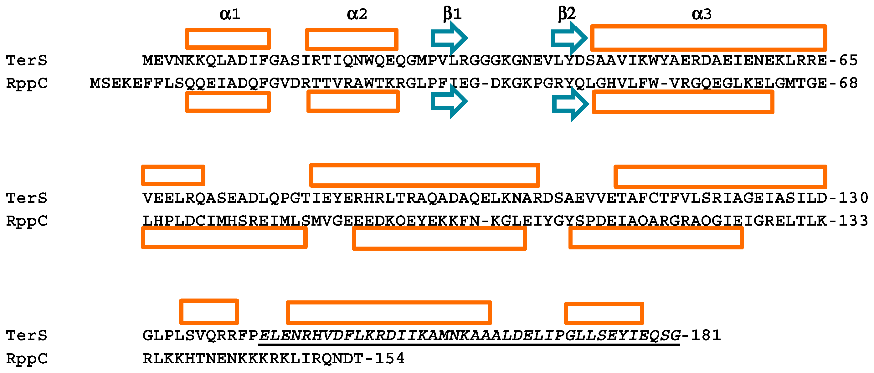 Viruses 14 00818 g003