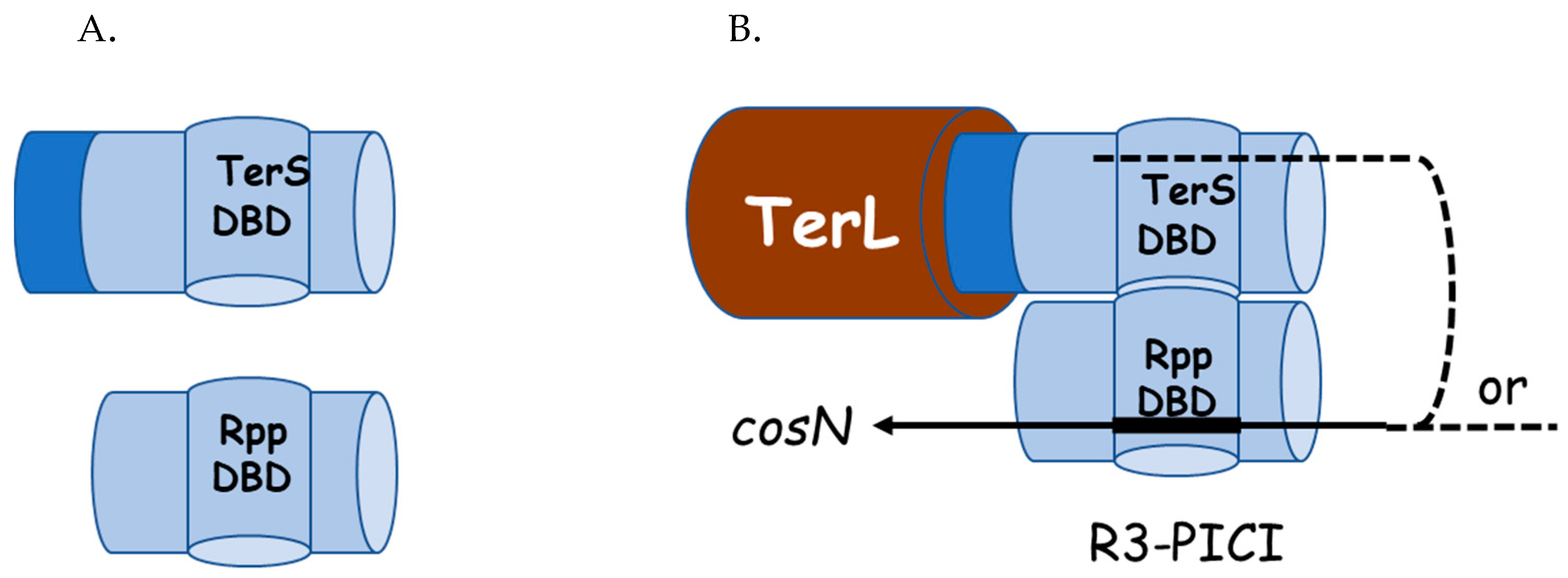 Viruses 14 00818 g005