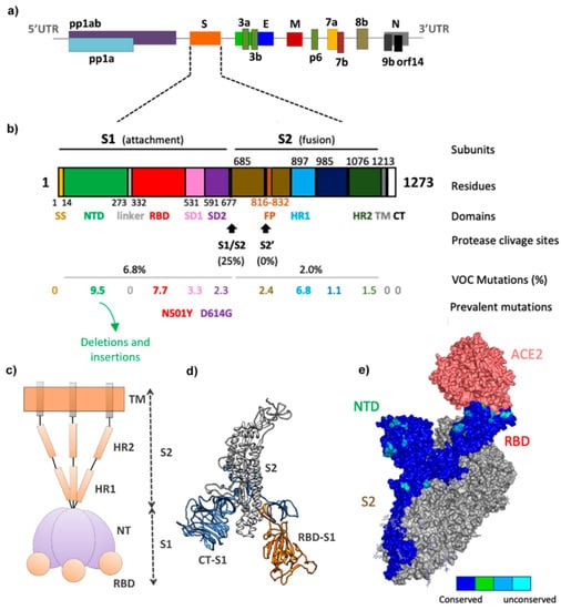 Viruses 14 00827 g001