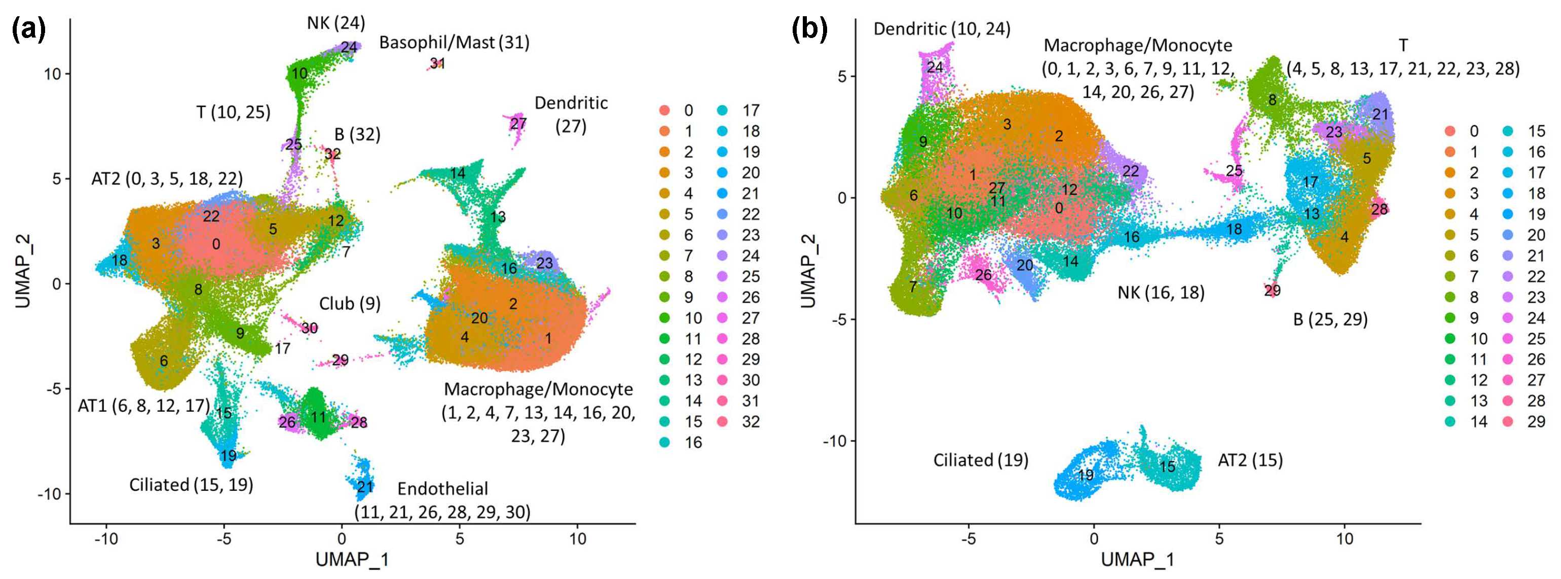 Viruses 14 00837 g001