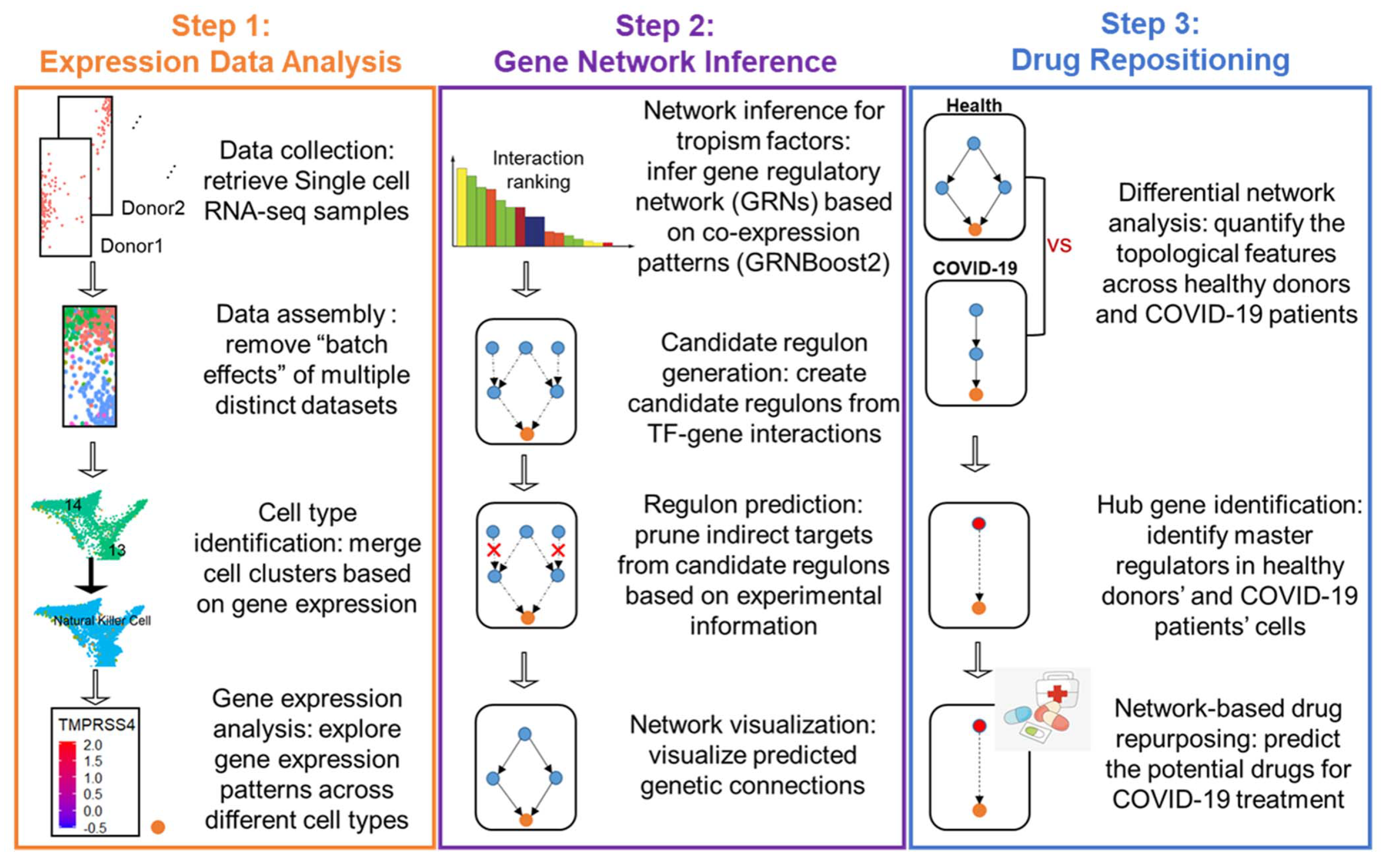 Viruses 14 00837 g003