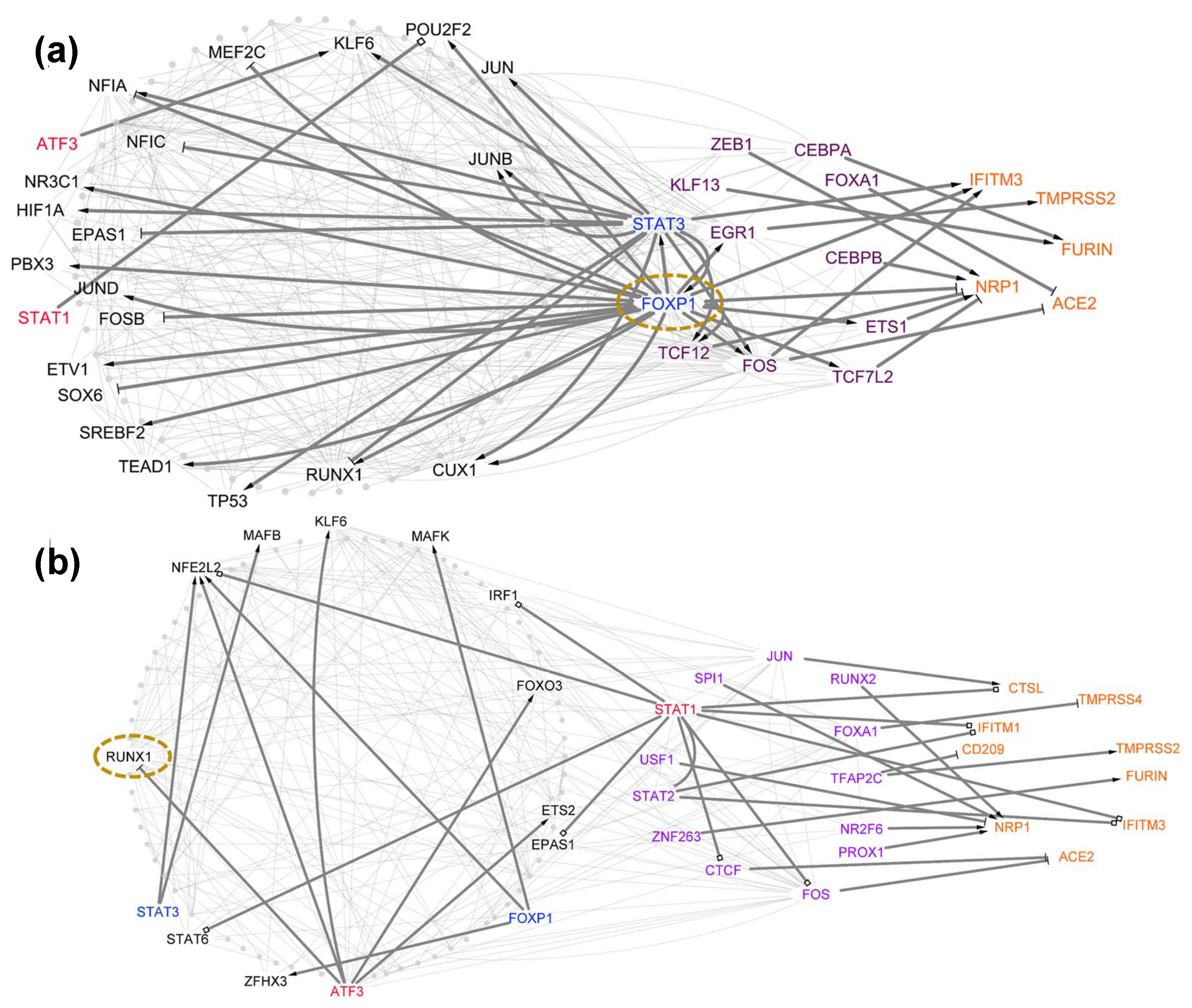 Viruses 14 00837 g006