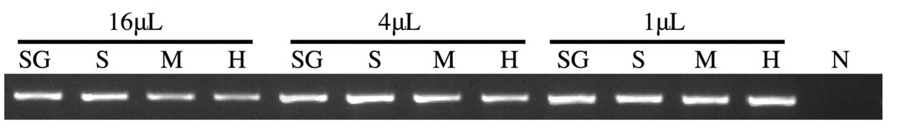 Viruses 14 00840 g002