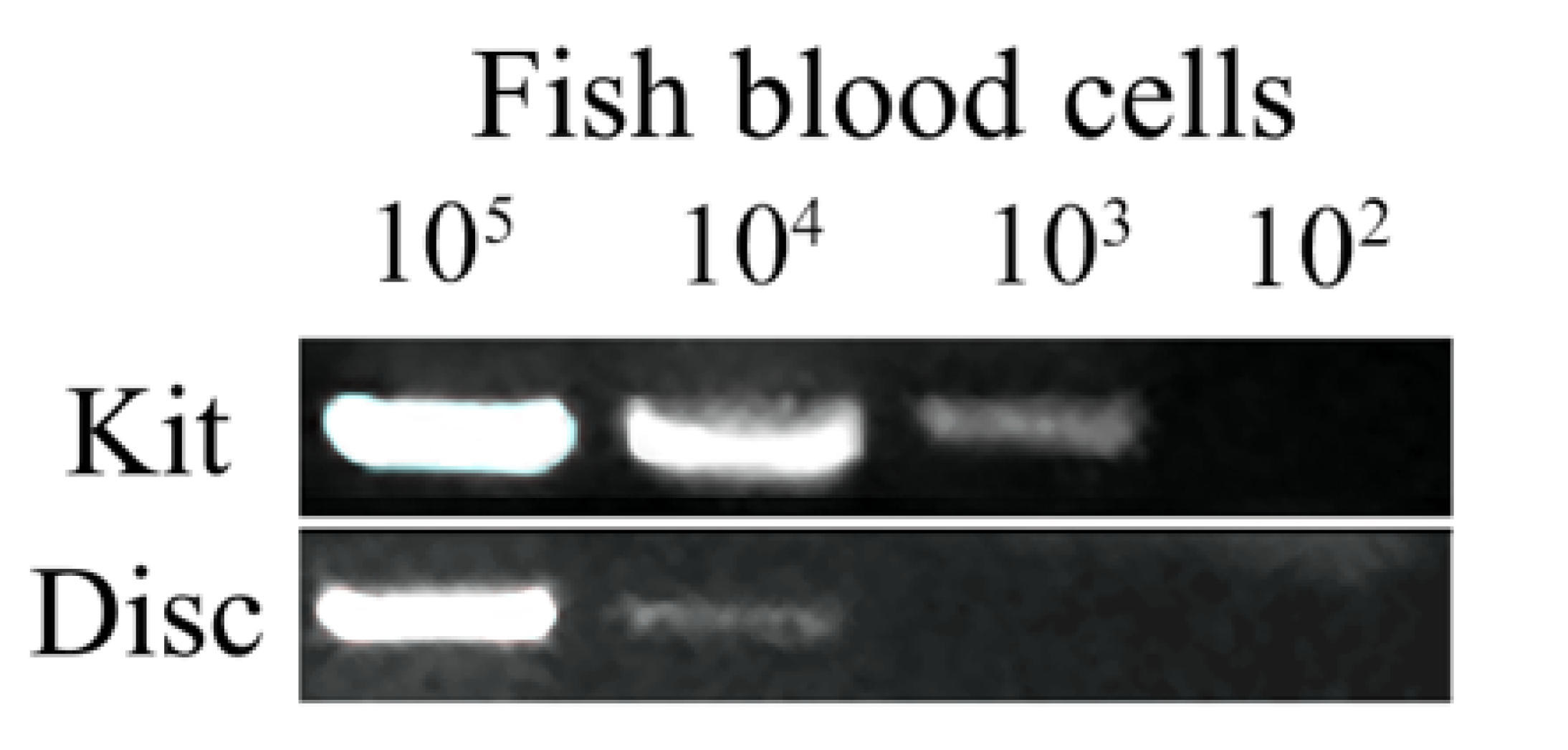 Viruses 14 00840 g003