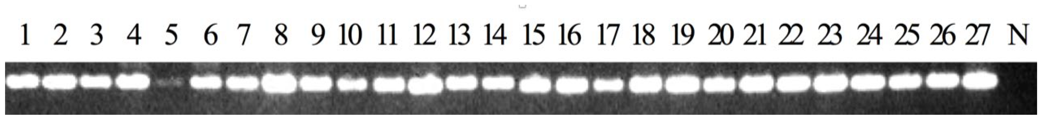 Viruses 14 00840 g004