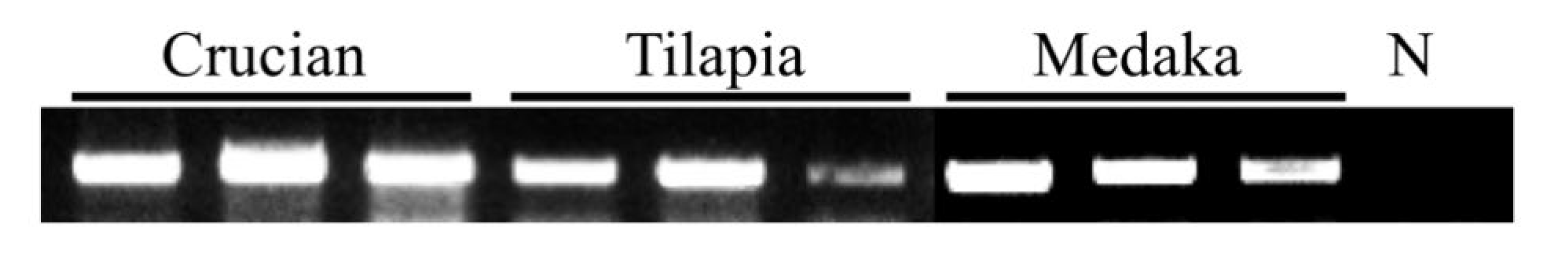 Viruses 14 00840 g005