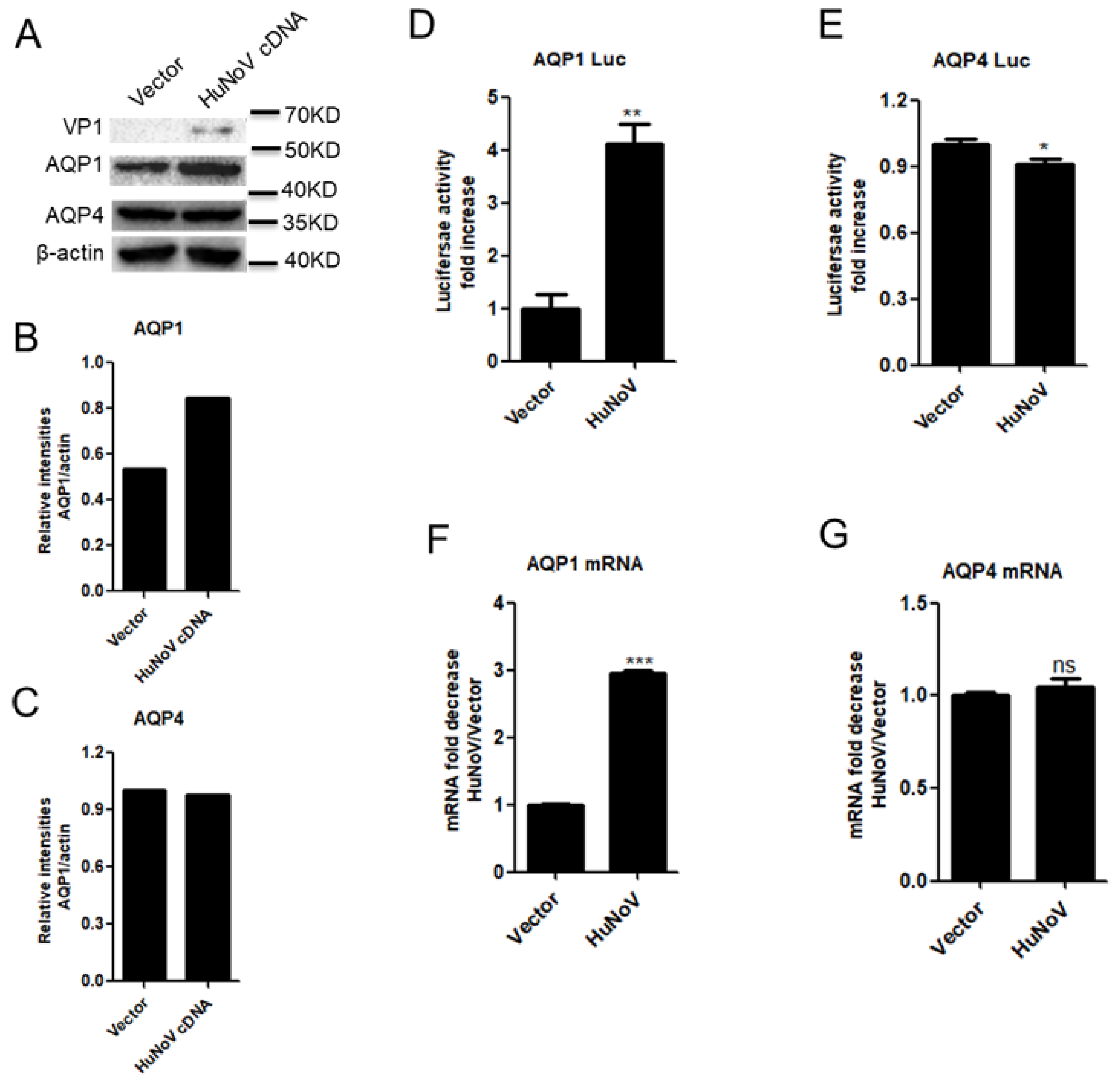 Viruses 14 00842 g001