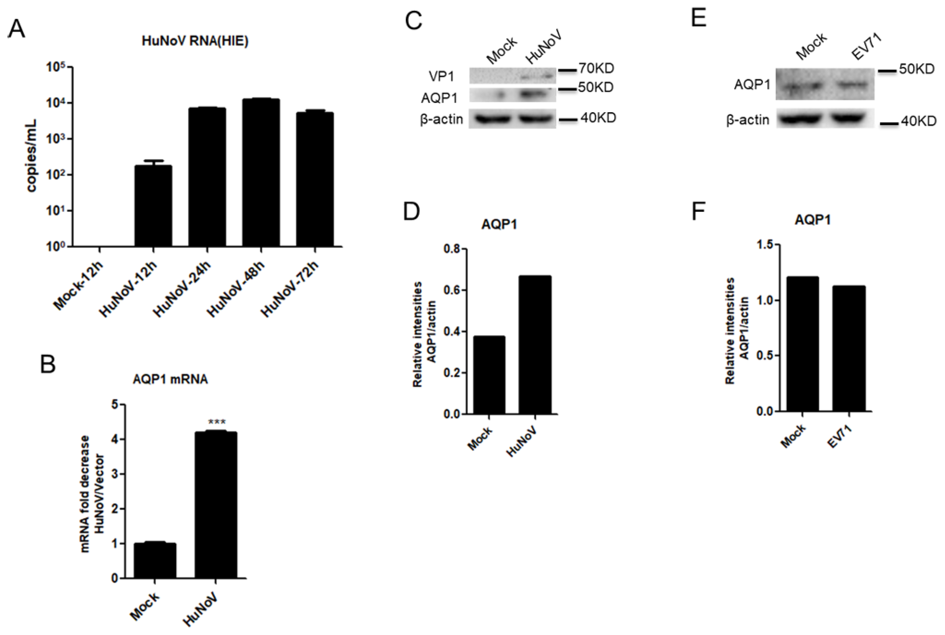 Viruses 14 00842 g002