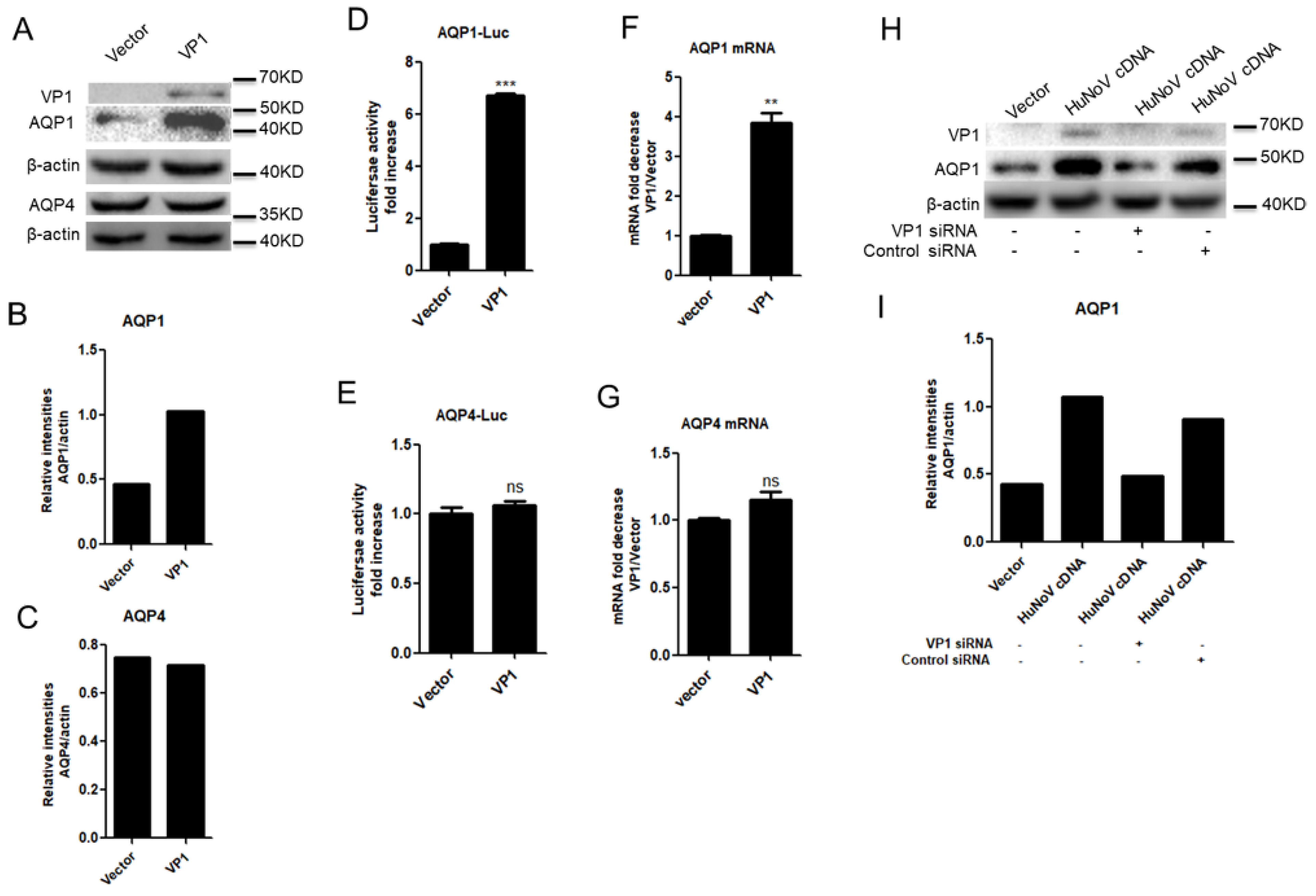 Viruses 14 00842 g003