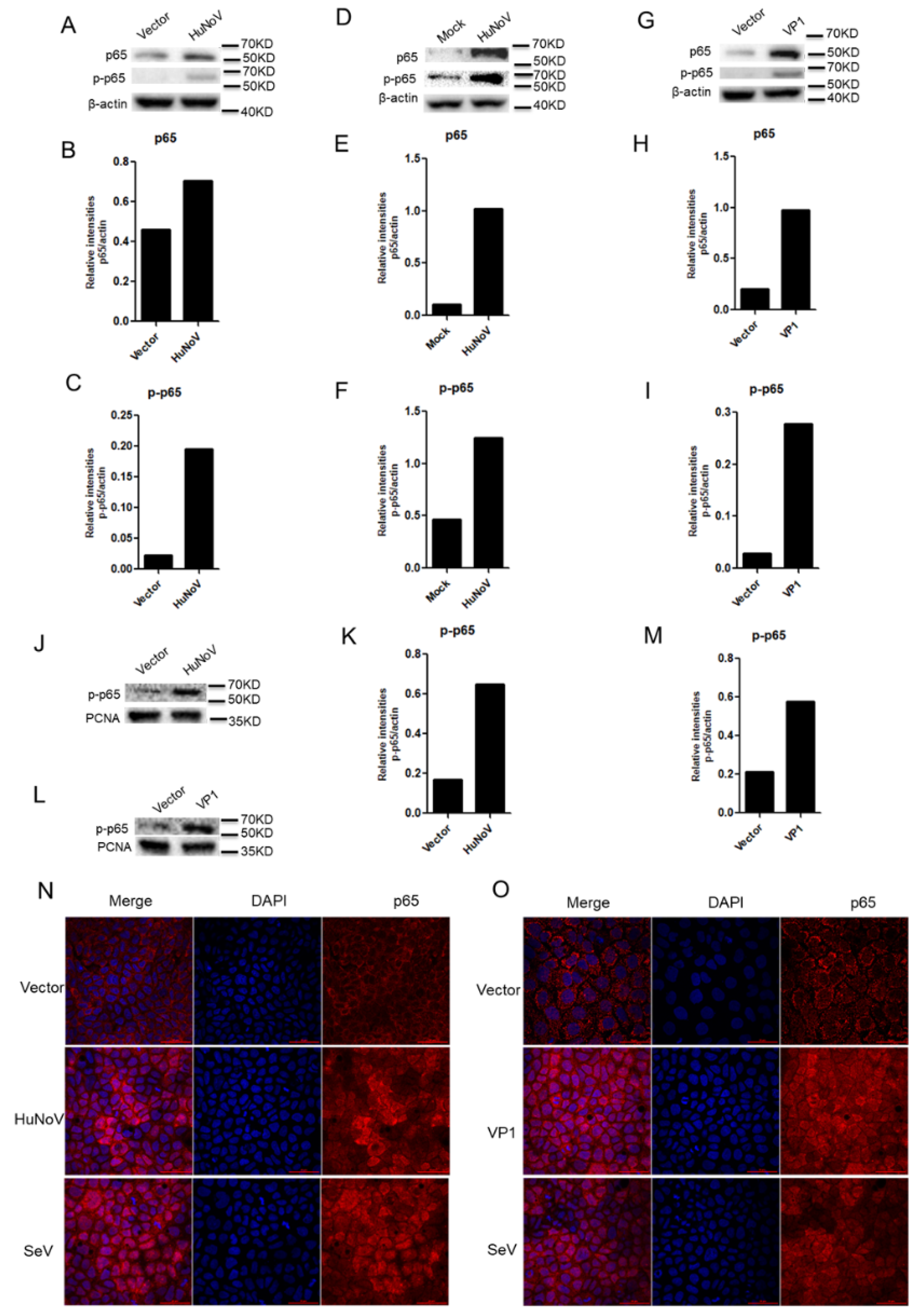 Viruses 14 00842 g005