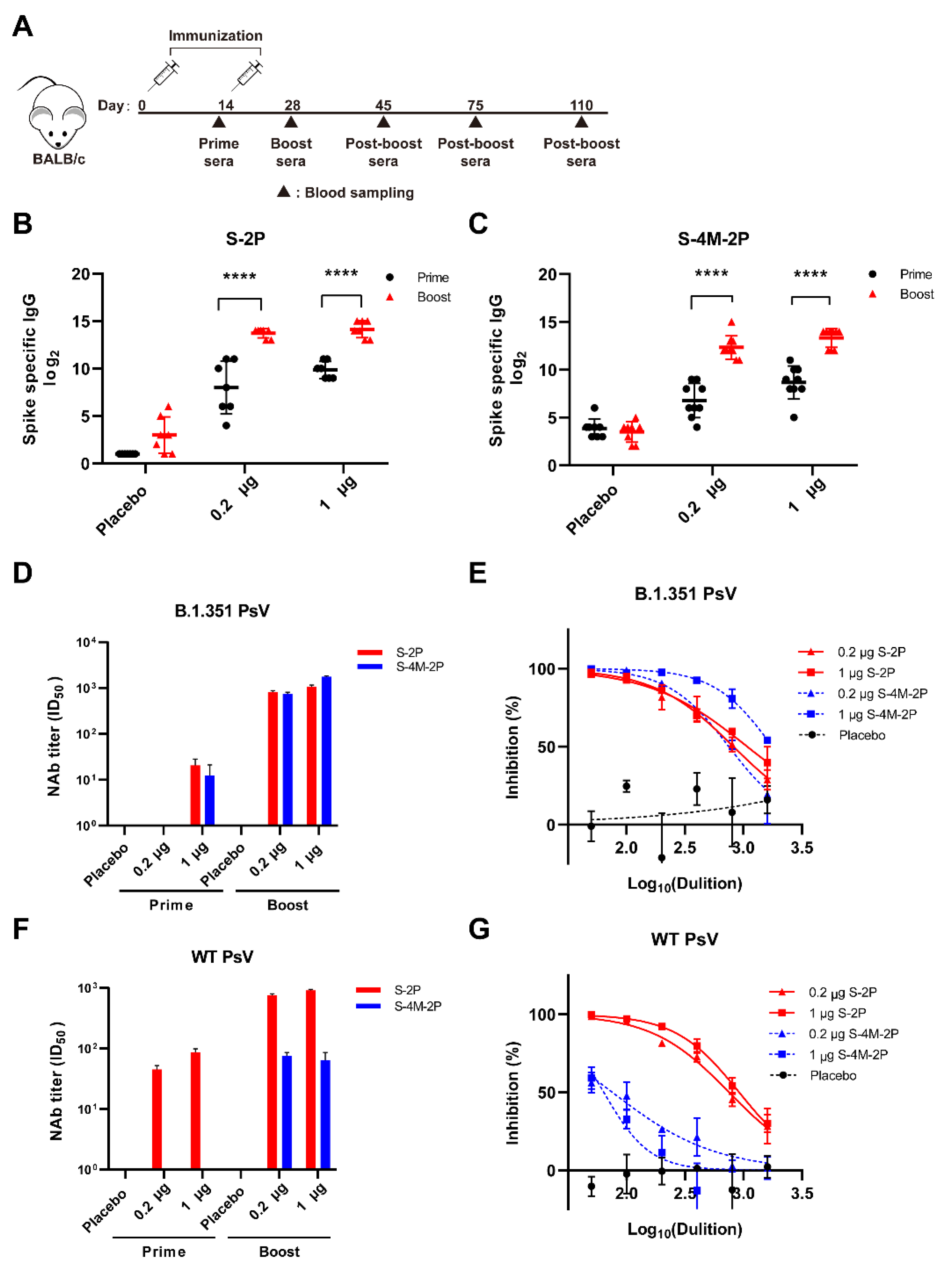 Viruses 14 00854 g002