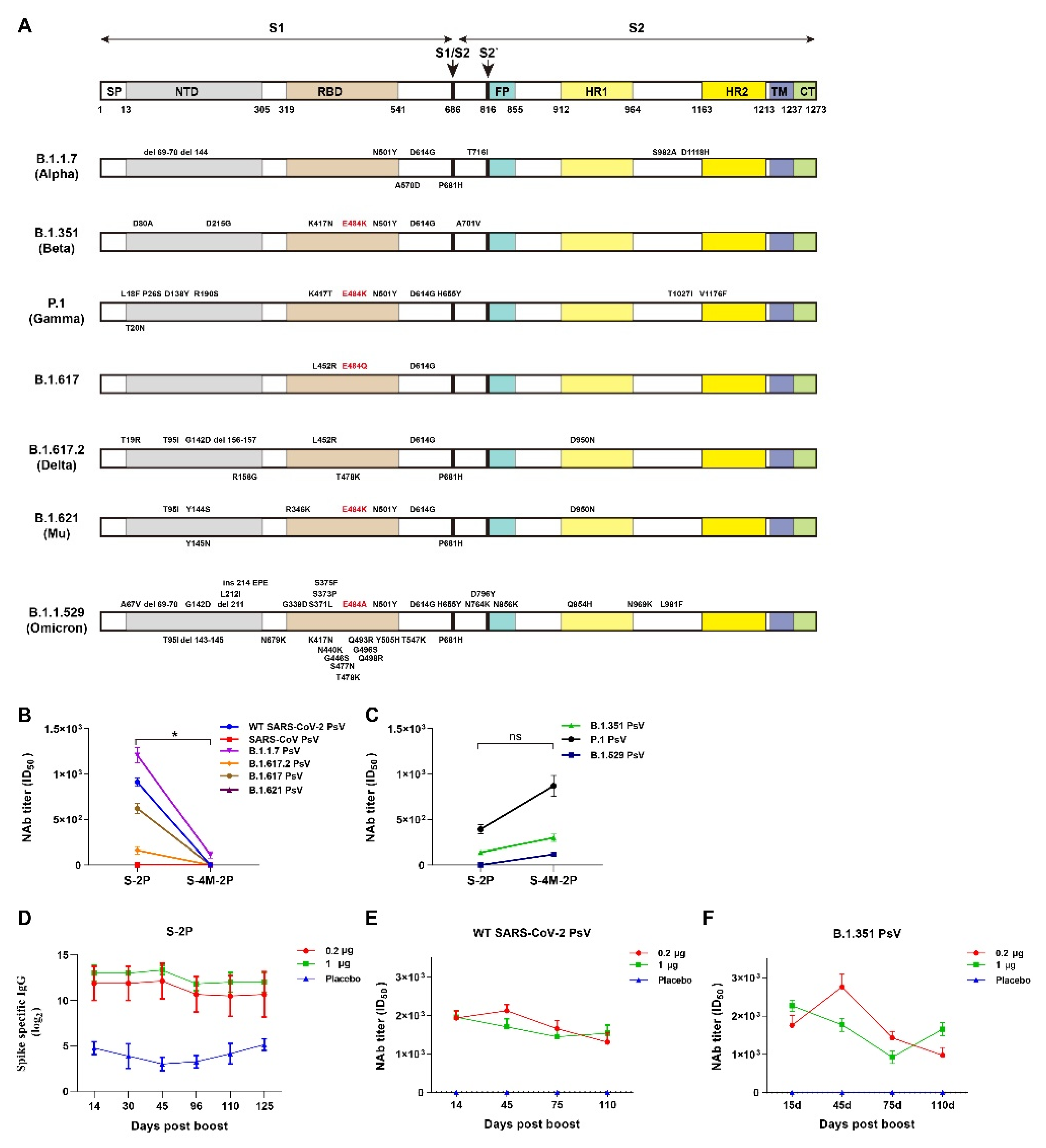 Viruses 14 00854 g004